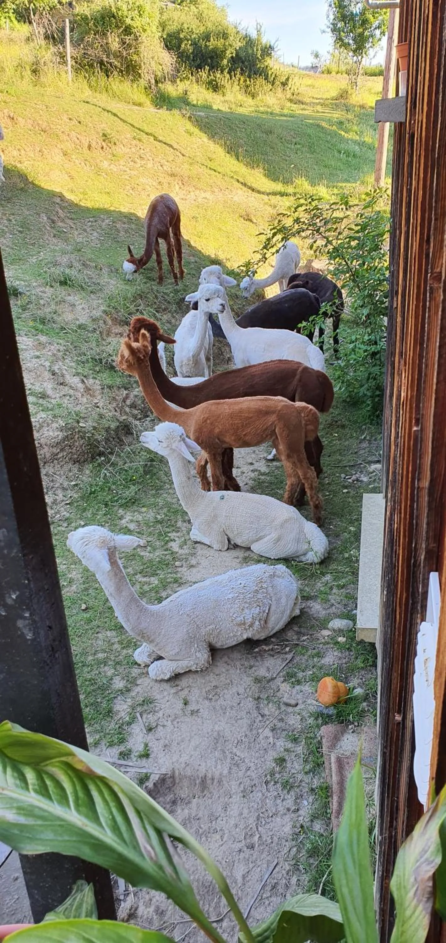 Property building in ALPAGAS DU DOMAINE MAEL