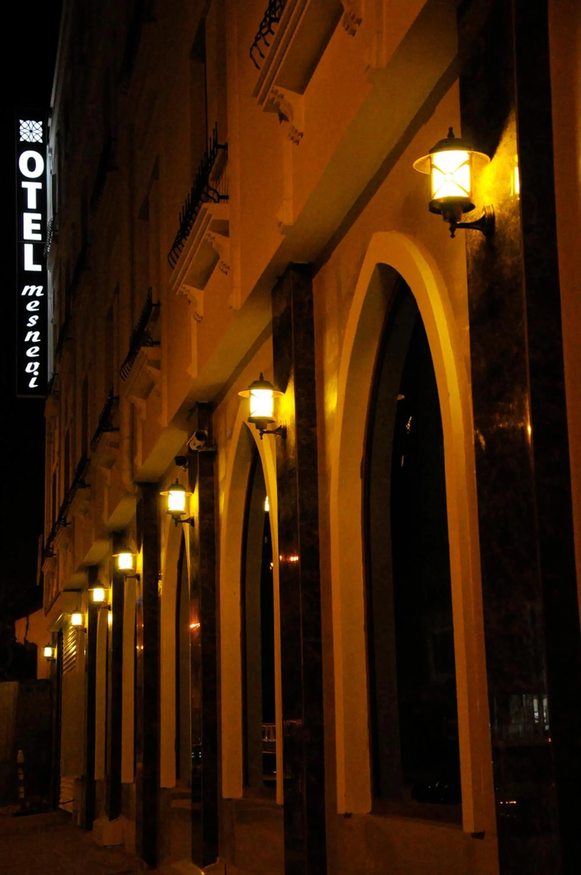 Facade/entrance in Mesnevi Hotel