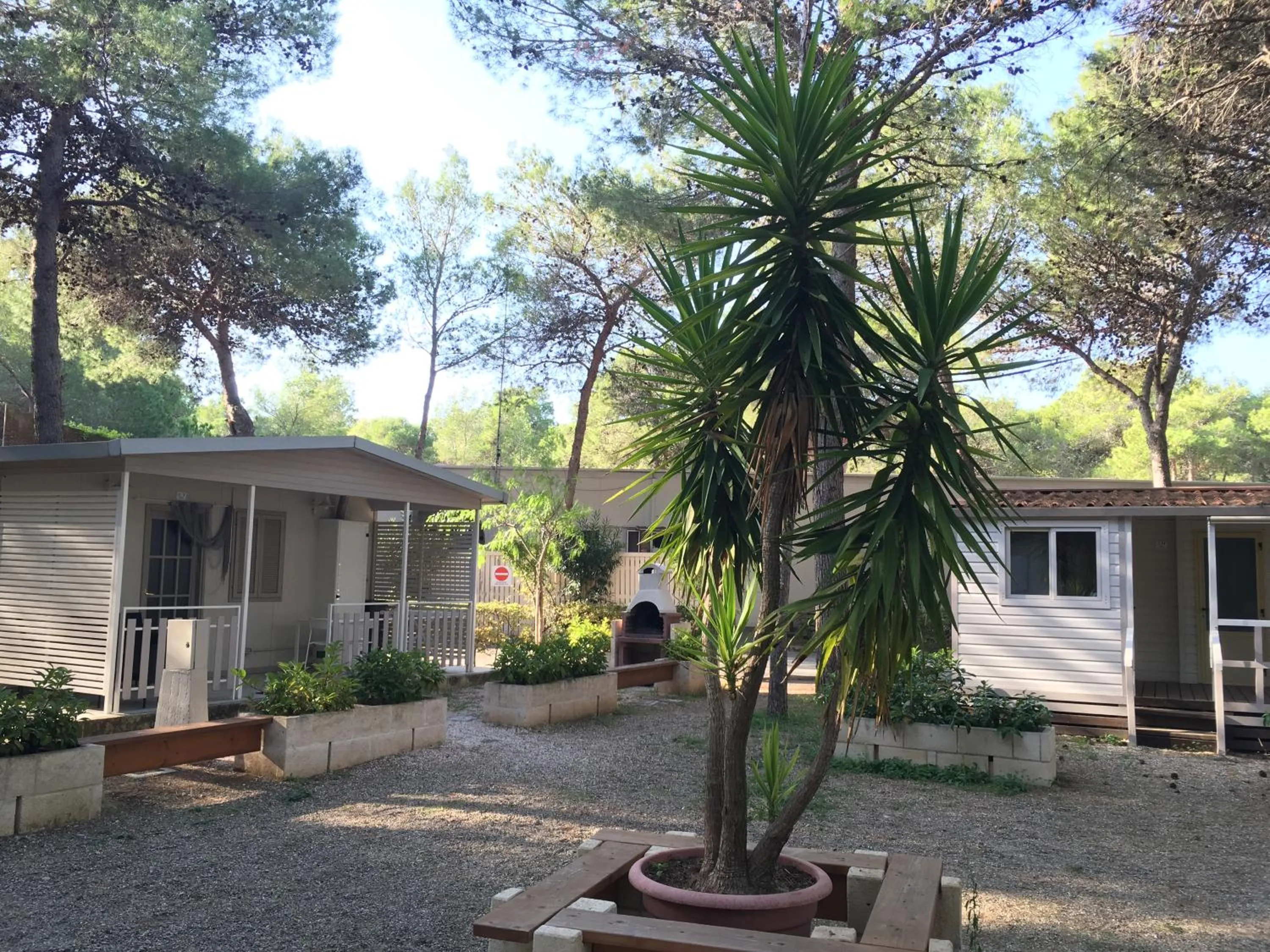 Natural landscape in Riva dei Greci Camping Village