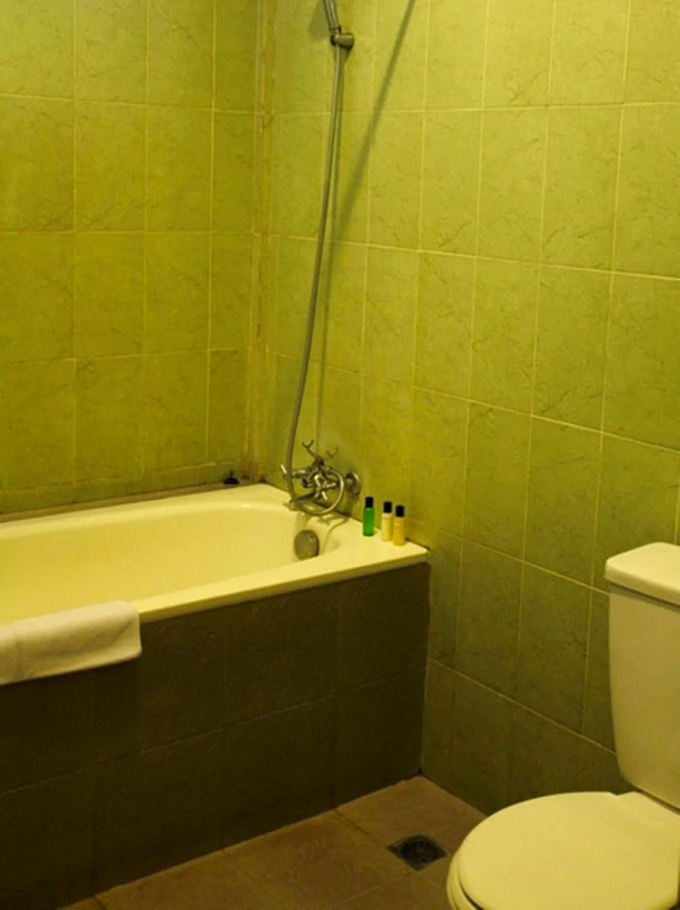 Shower in Niramaya Villa