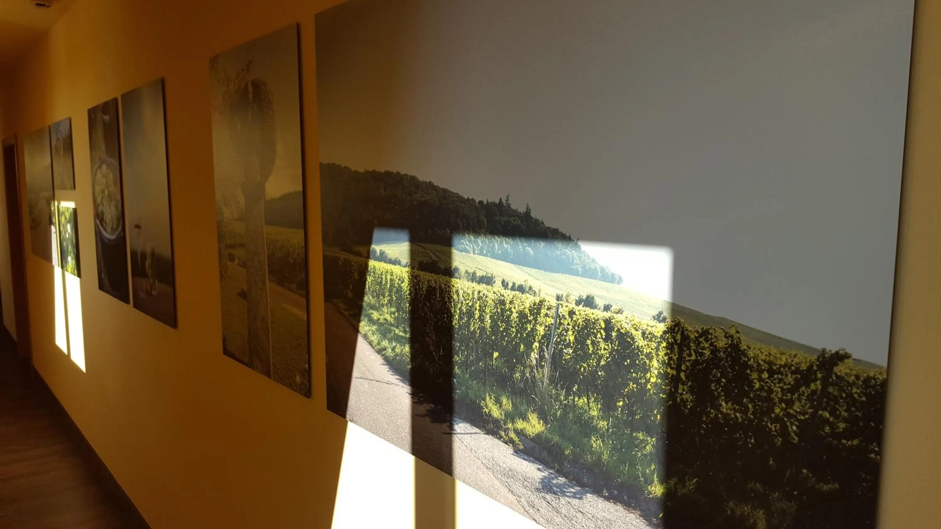 Other in Der Patrizierhof - Weingut Gasthof Hotel - Familie Grebner