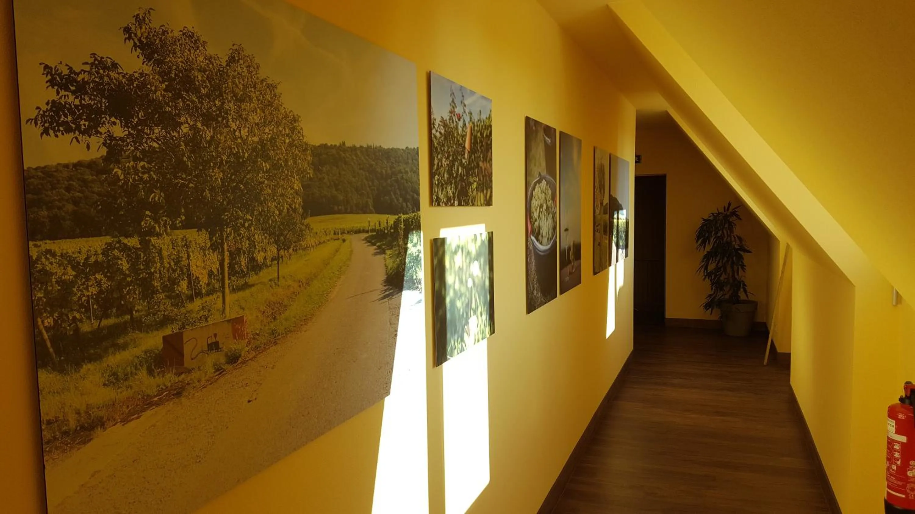 Other in Der Patrizierhof - Weingut Gasthof Hotel - Familie Grebner