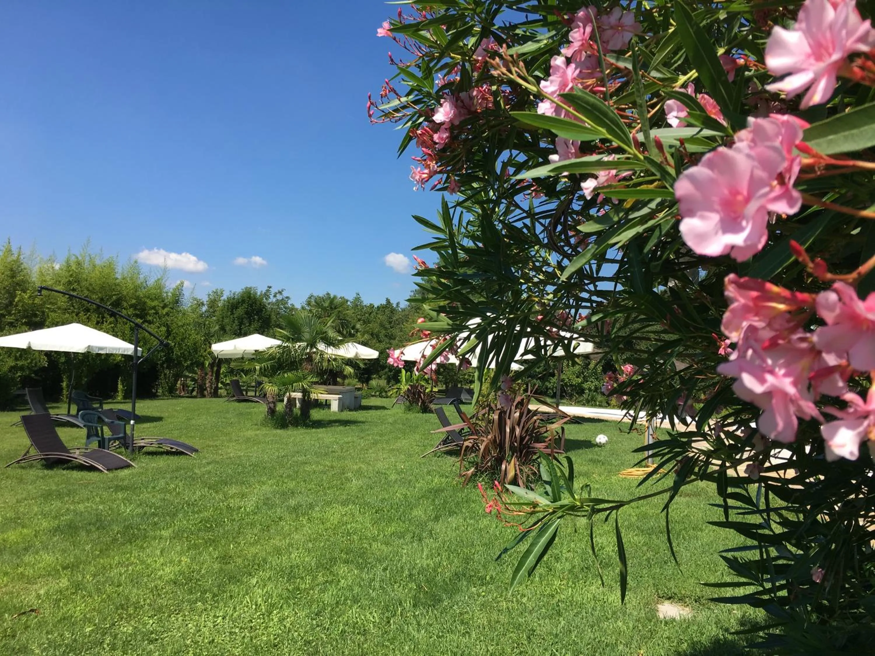 Garden view in AgriturismoB&B Loggia Degli Artisti