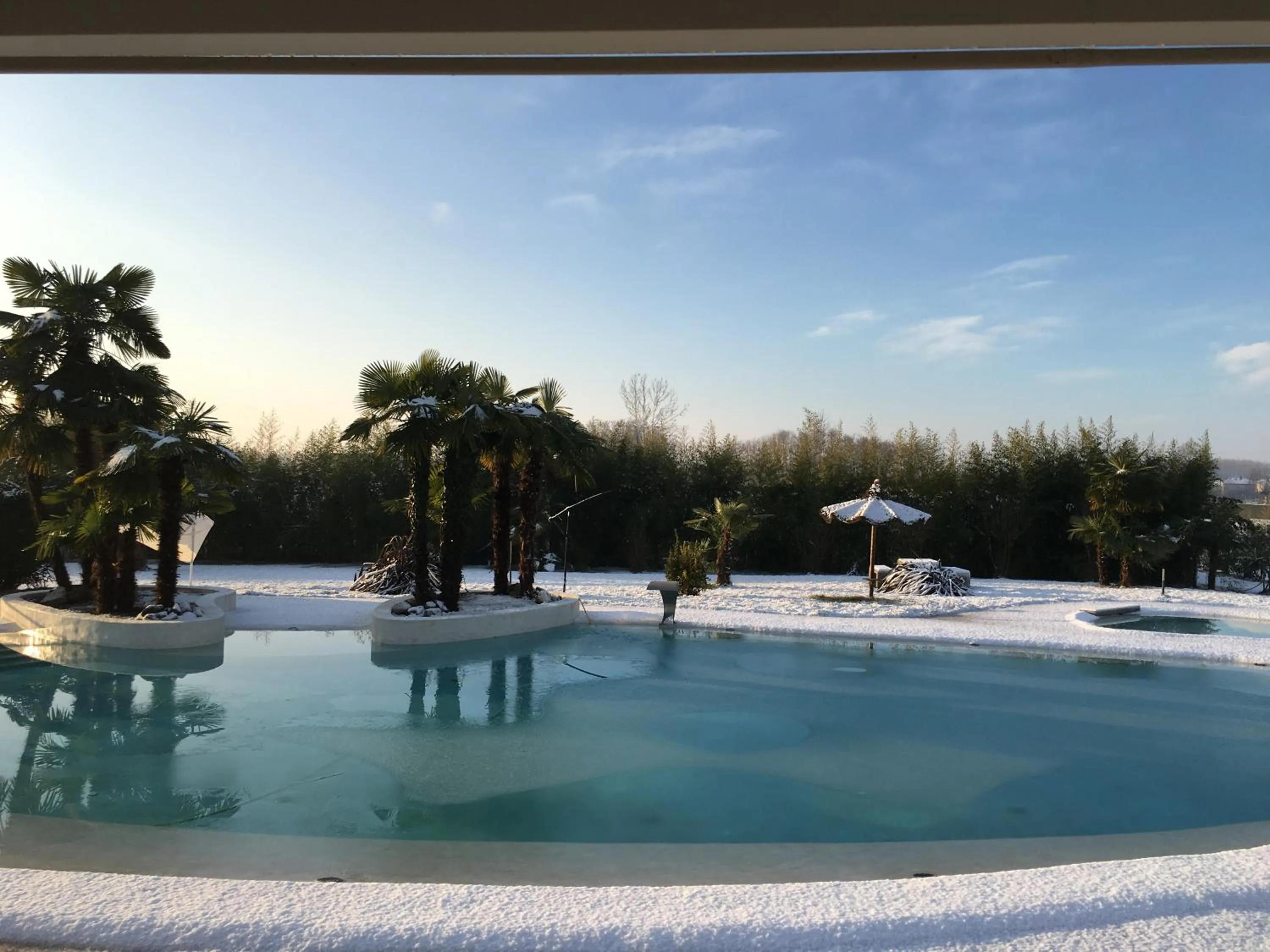 Pool view in AgriturismoB&B Loggia Degli Artisti