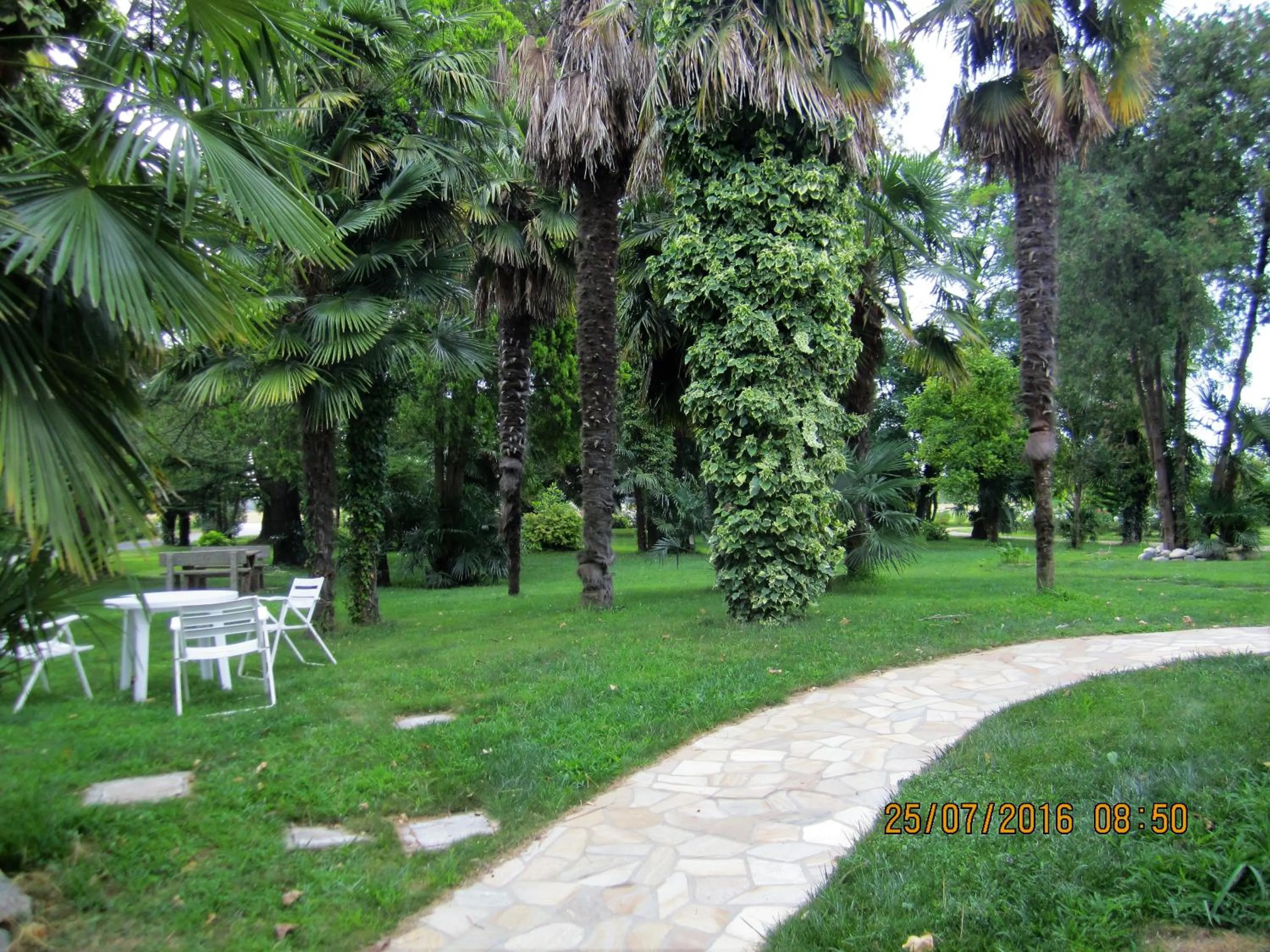 Natural landscape in AgriturismoB&B Loggia Degli Artisti