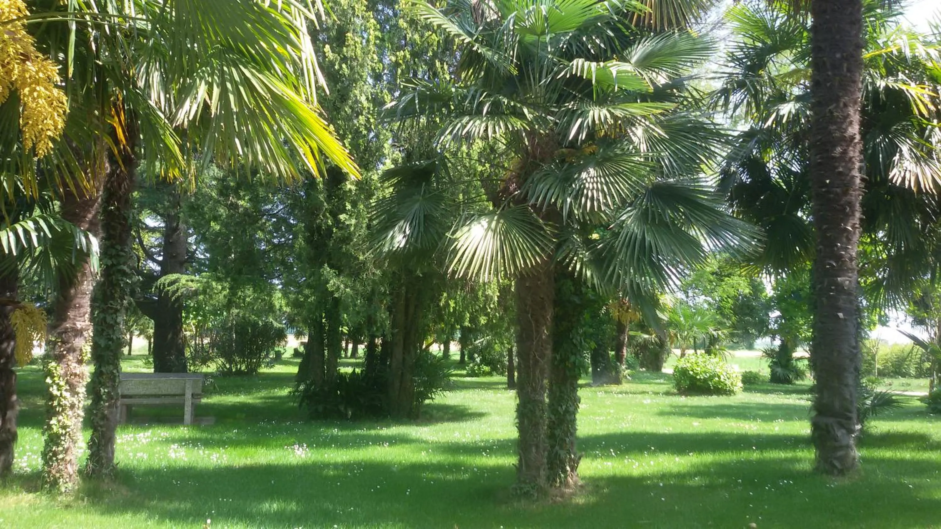 Garden in AgriturismoB&B Loggia Degli Artisti