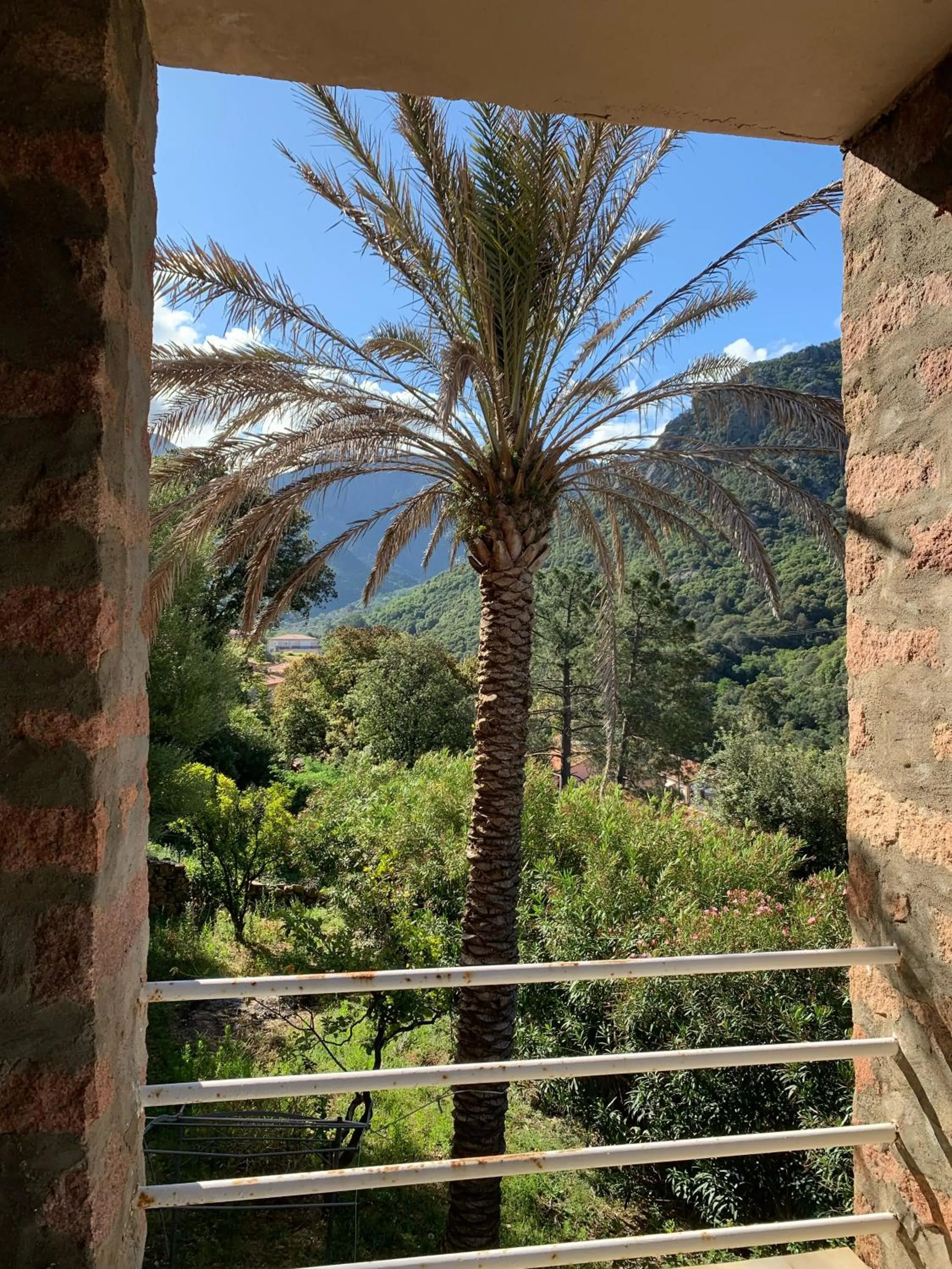 Hôtel Colombo- Porto Corse