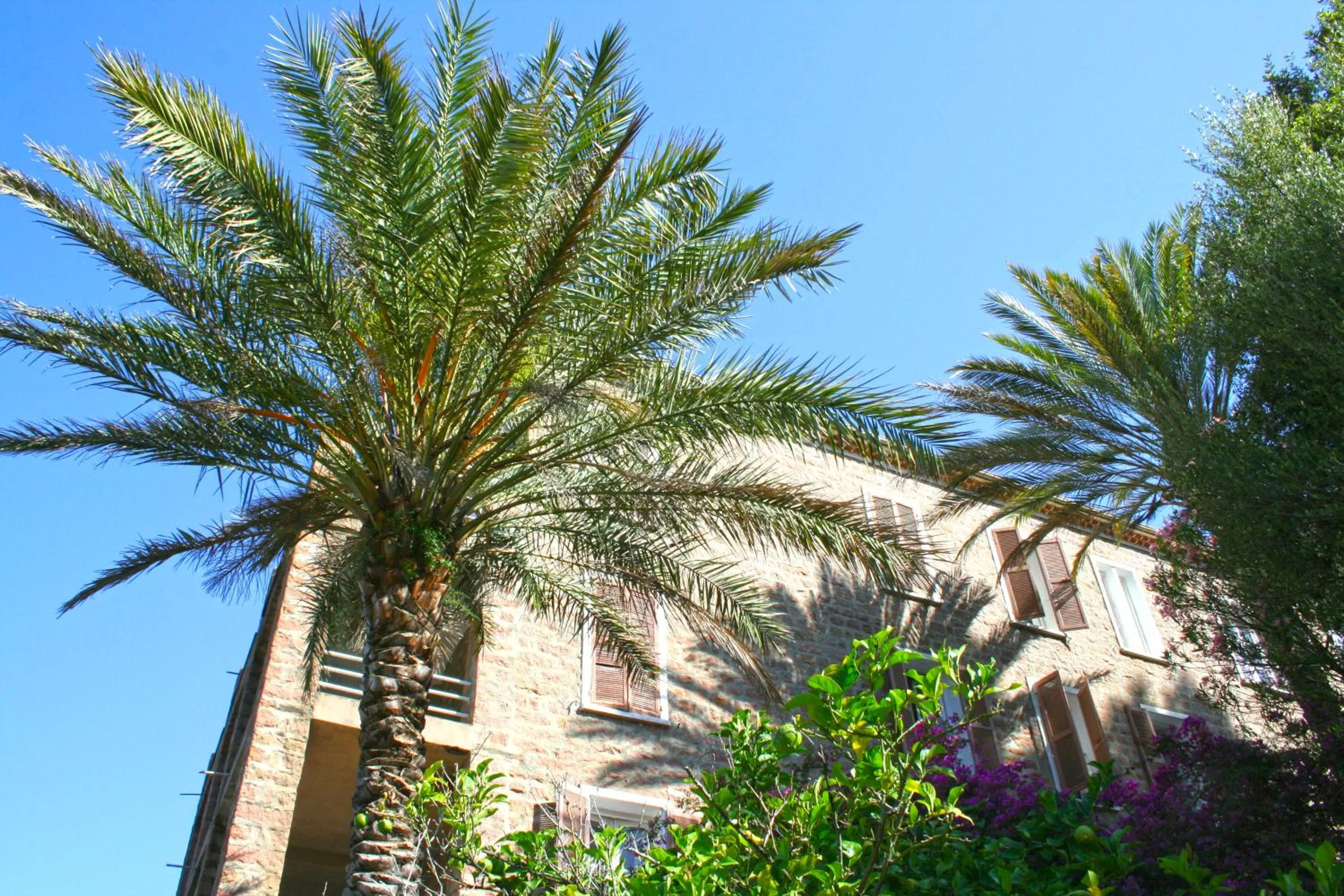 Facade/entrance in Hôtel Colombo- Porto Corse