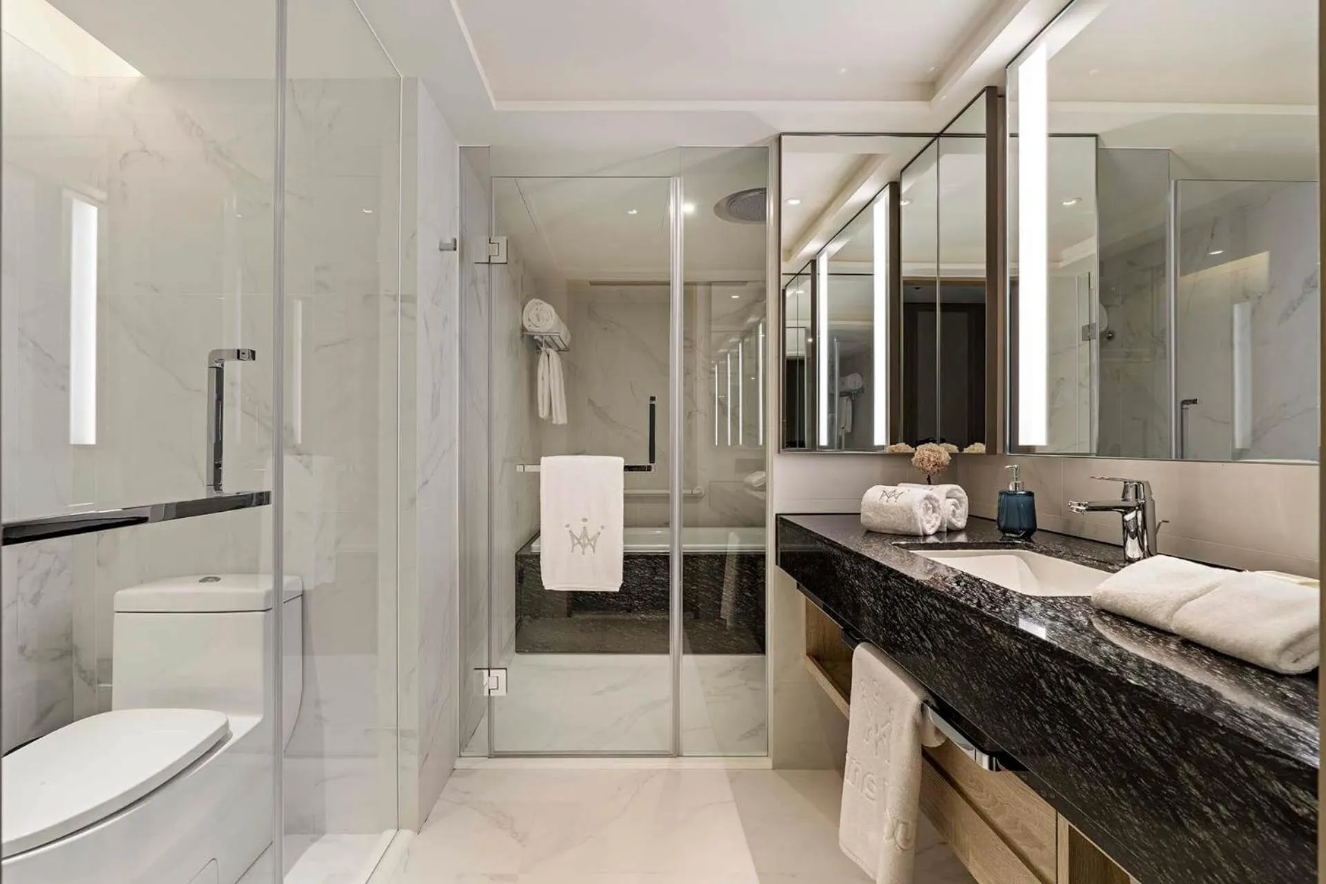 Toilet in Hanns House