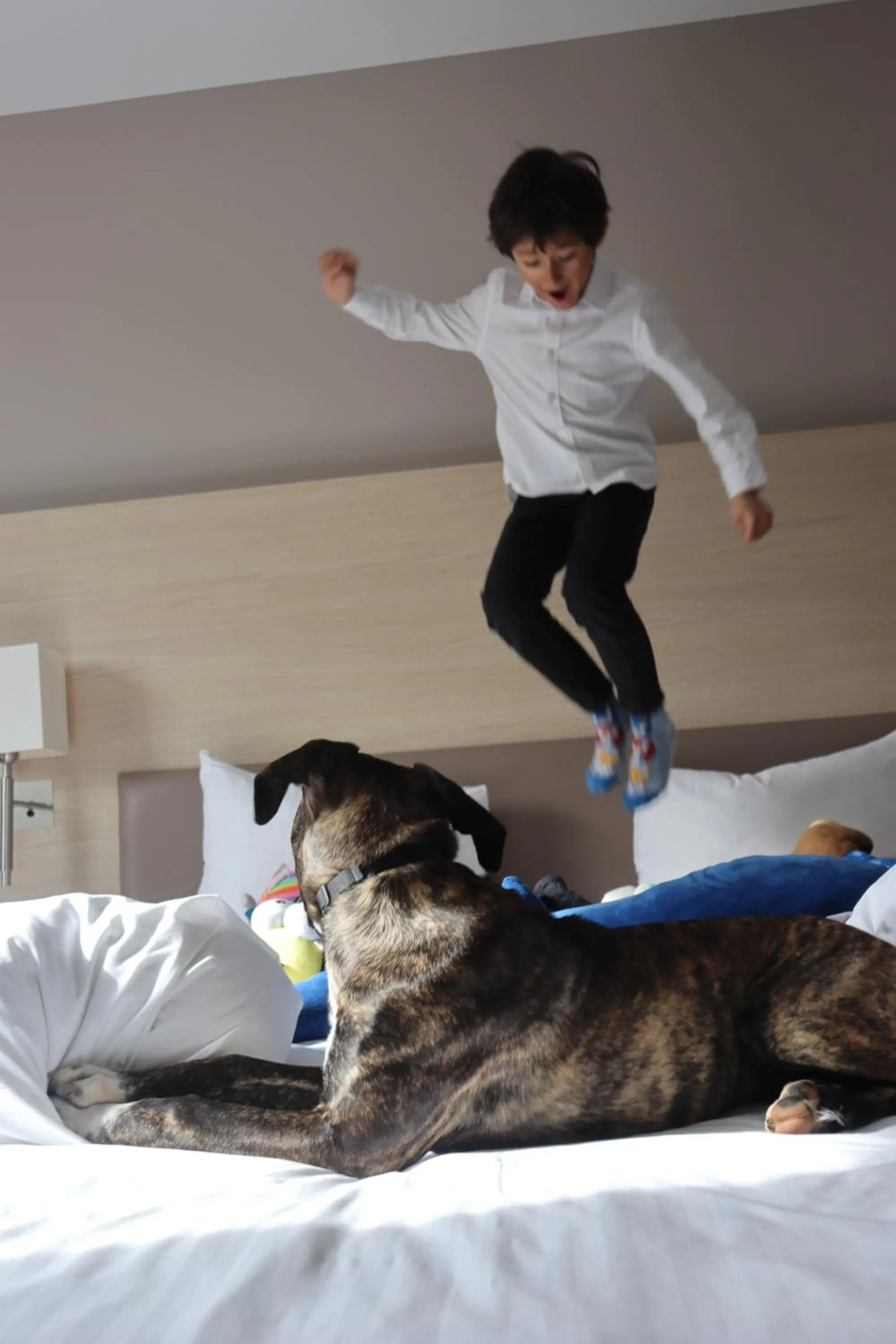 Bed in Courtyard by Marriott Paris La Defense West - Colombes