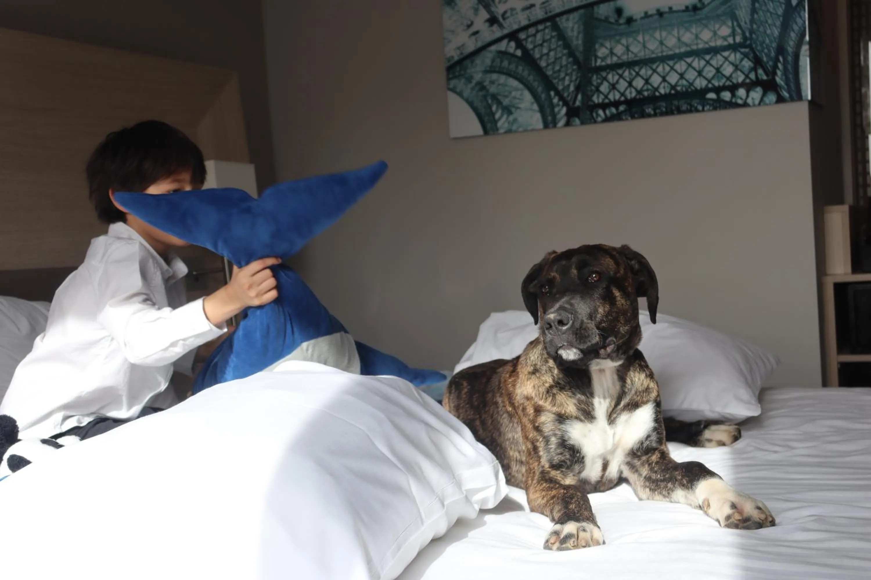 Bed in Courtyard by Marriott Paris La Defense West - Colombes