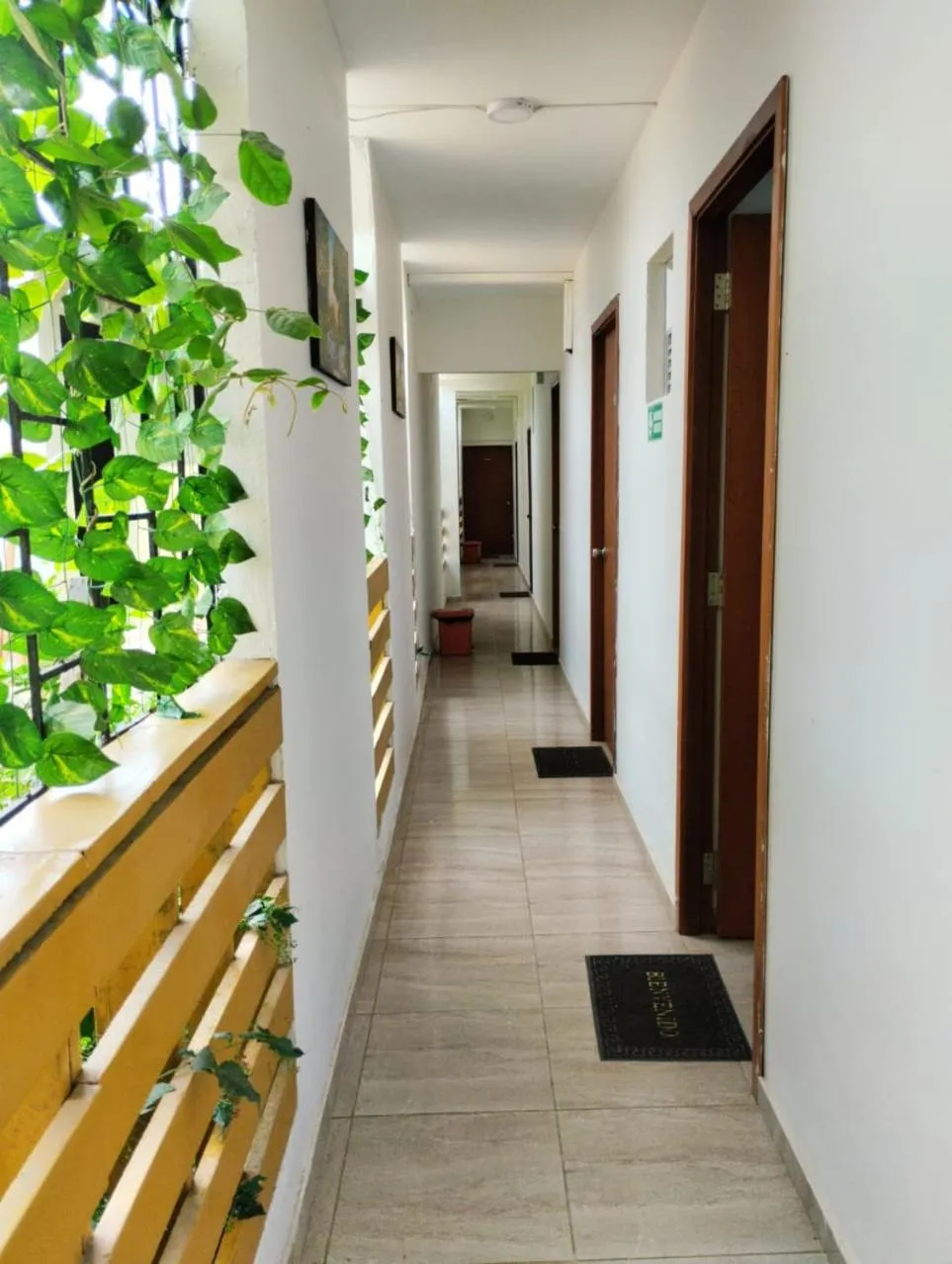 Property building in La Rivera Playa Palomino