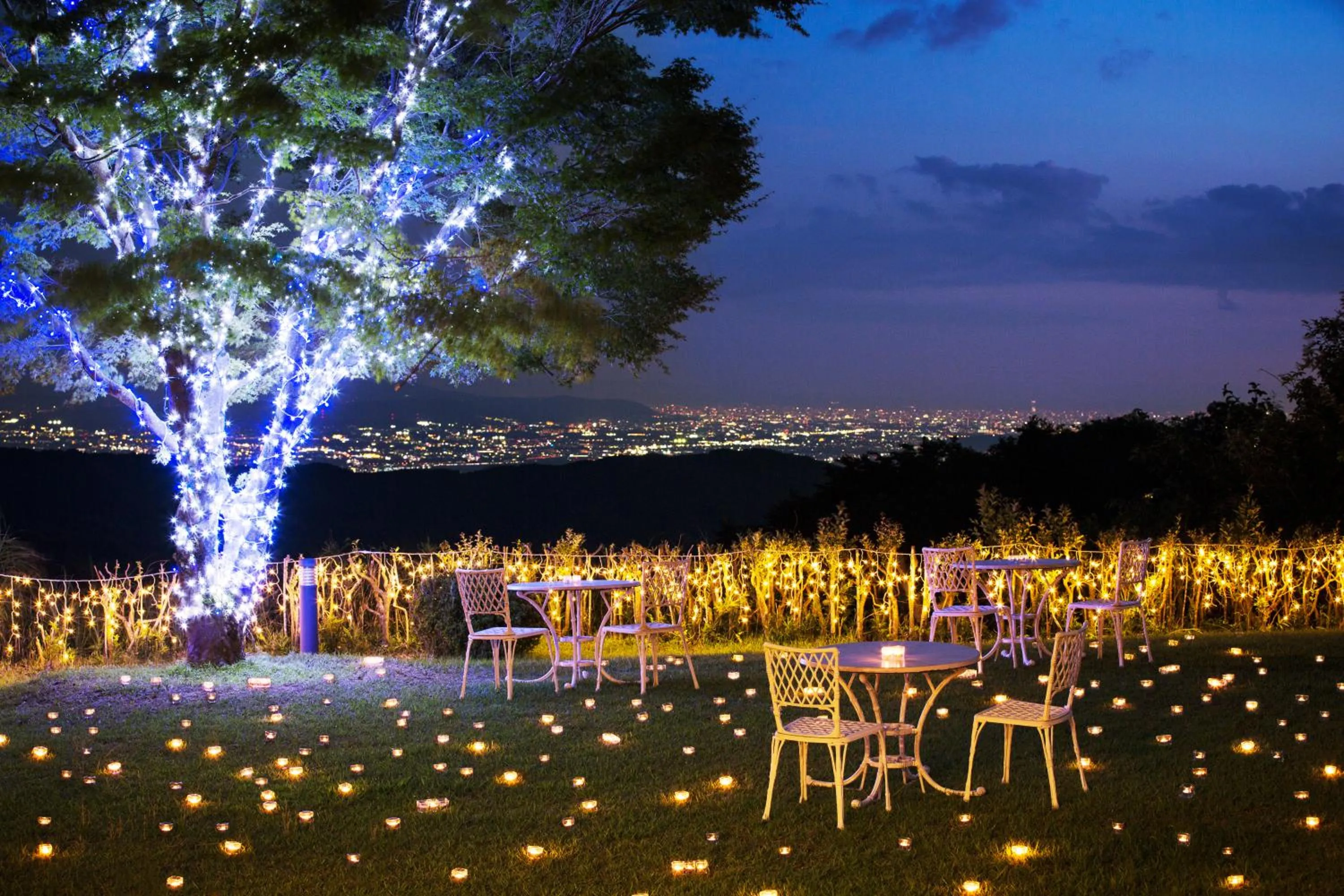 Garden in L'Hotel de Hiei