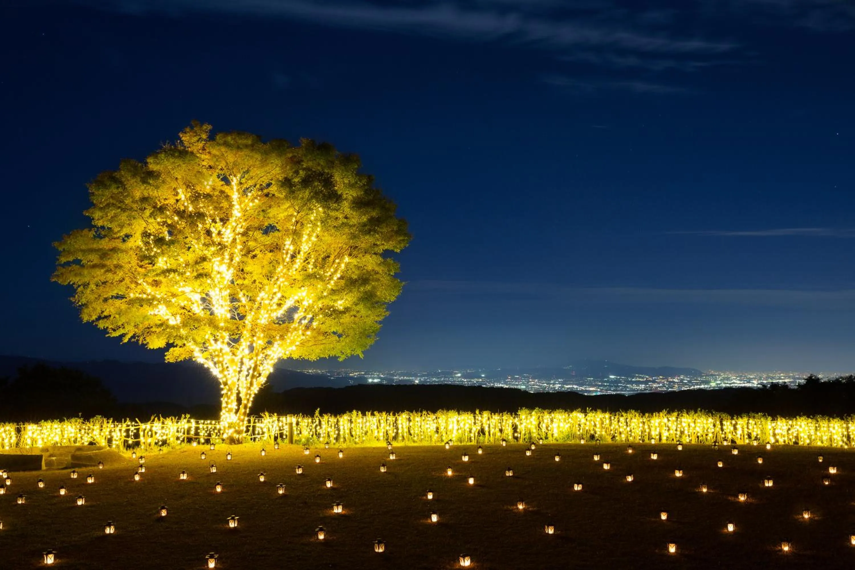 Garden in L'Hotel de Hiei