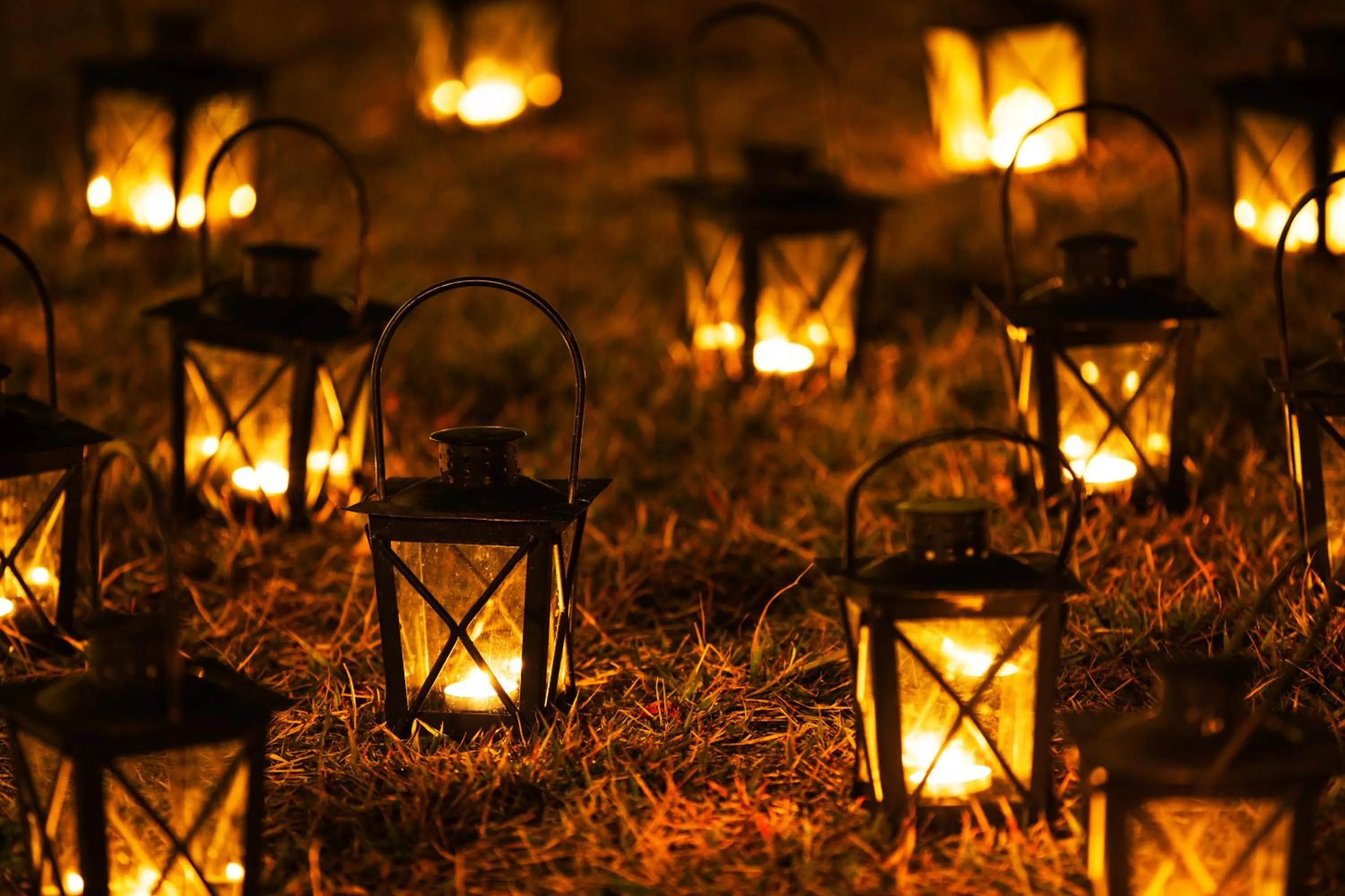 Garden in L'Hotel de Hiei