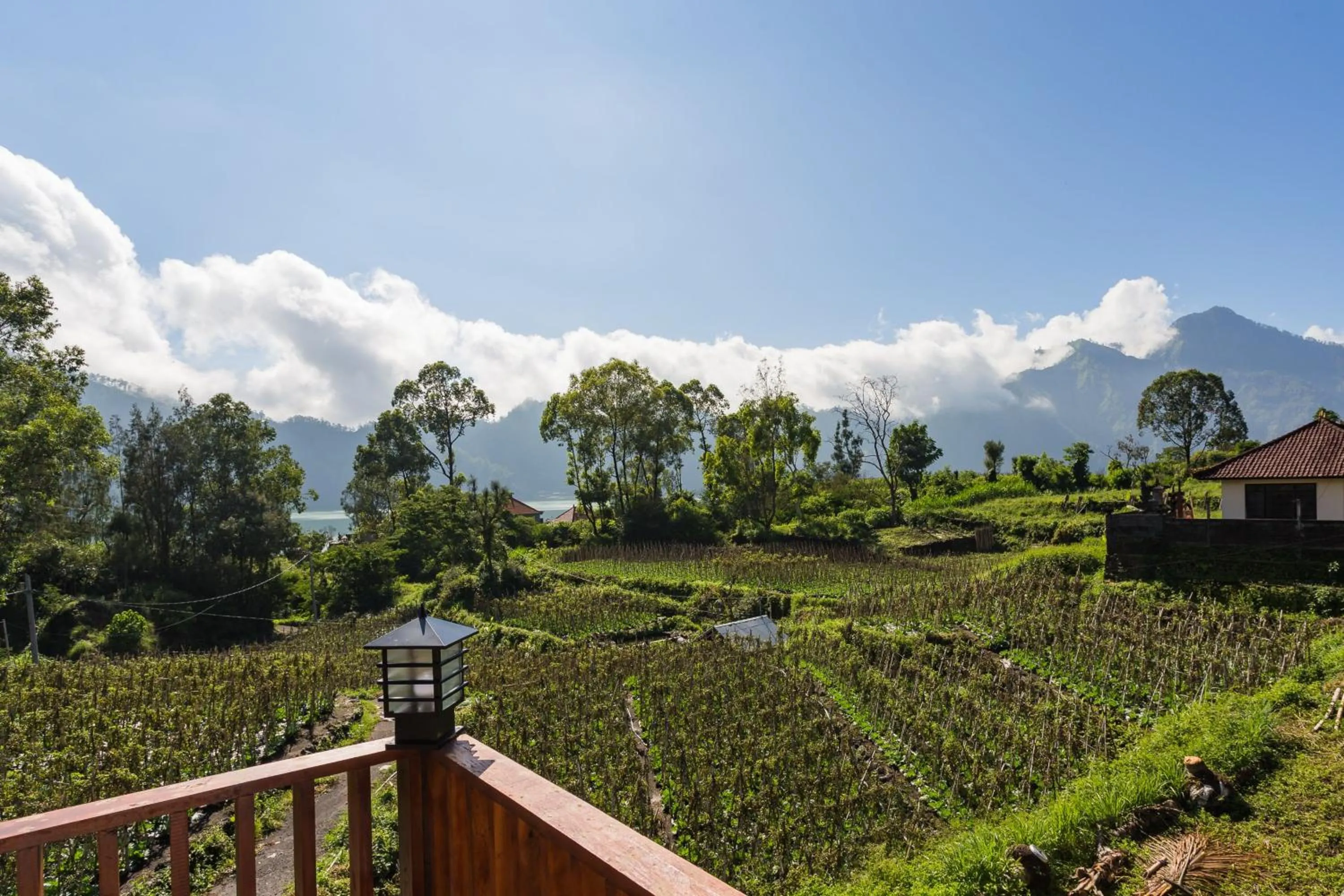 Balcony/Terrace in Mount Batur Villa