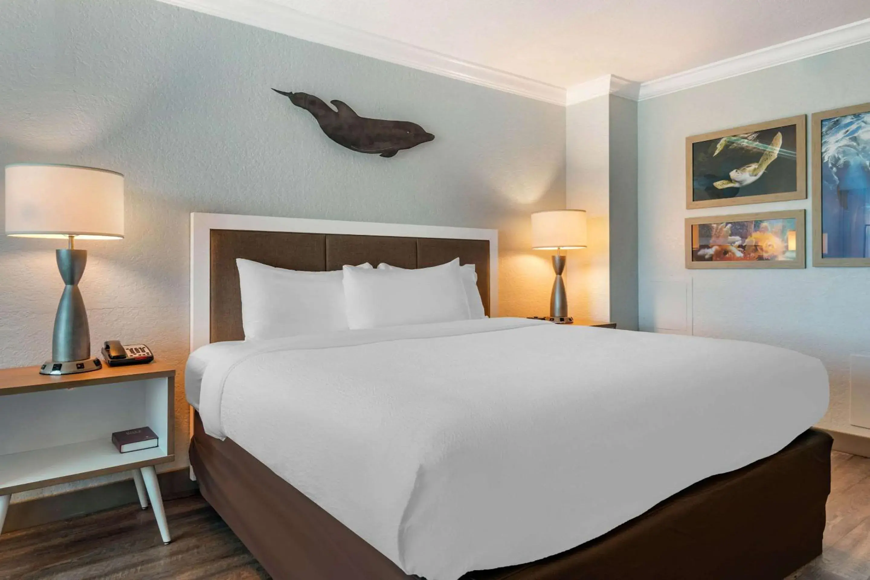 Bedroom, Bed in Winter the Dolphins Beach Club, Ascend Hotel Collection Bedroom, Bed in Winter the Dolphins Beach Club, Ascend Hotel Collection