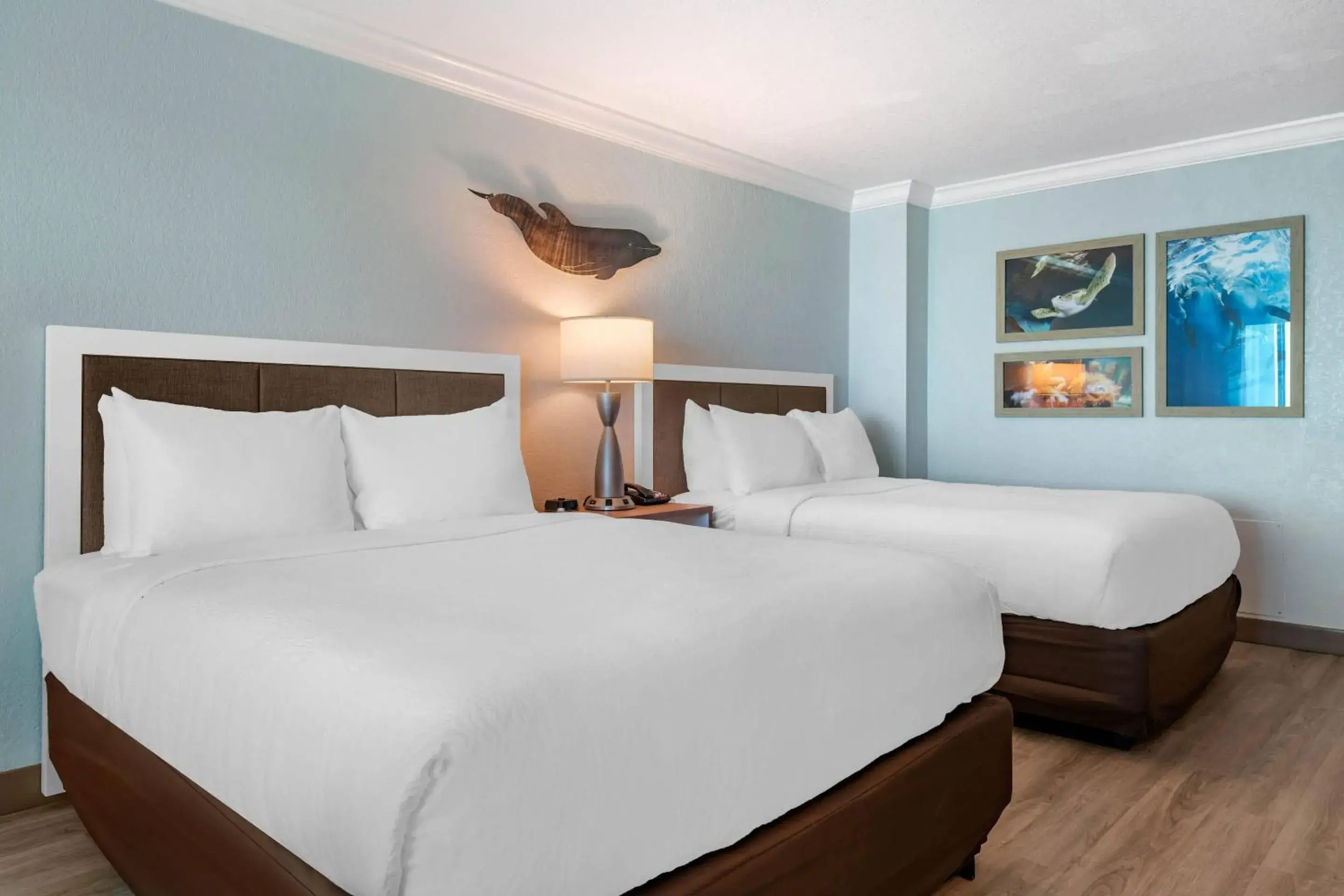 Superior Queen Suite with Two Queen Beds - Accessible/Non-Smoking in Dolphin Sands Clearwater Beach, an Ascend Collection Hotel Superior Queen Suite with Two Queen Beds - Accessible/Non-Smoking in Dolphin Sands Clearwater Beach, an Ascend Collection Hotel