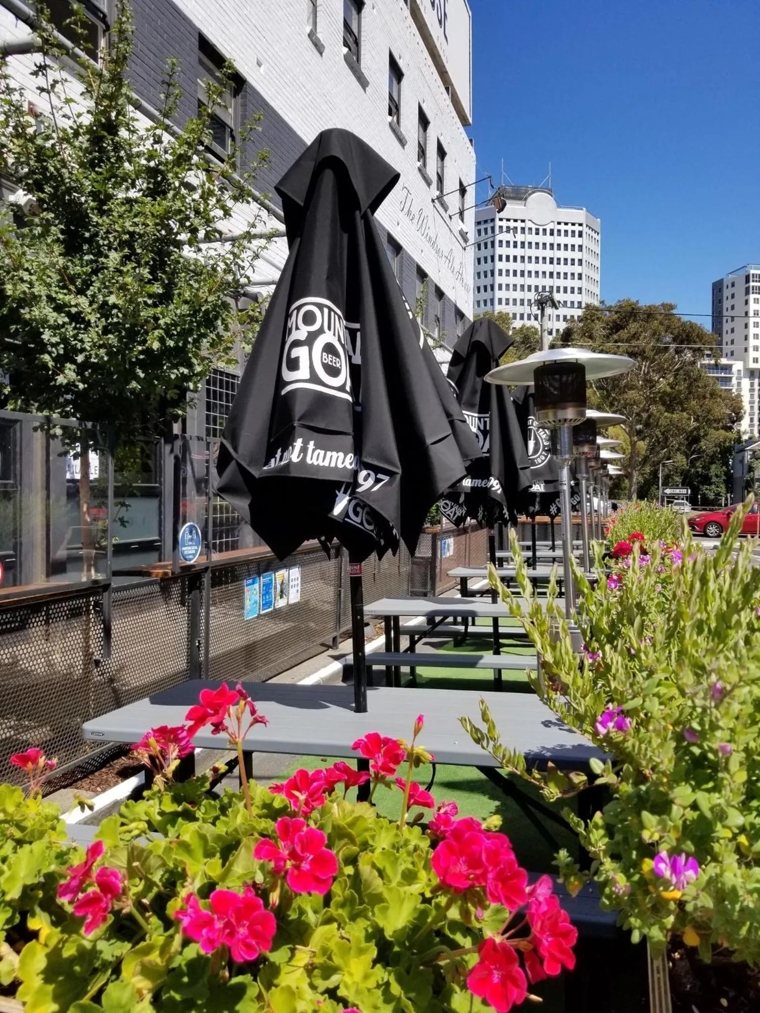 Day in Pint On Punt Backpackers