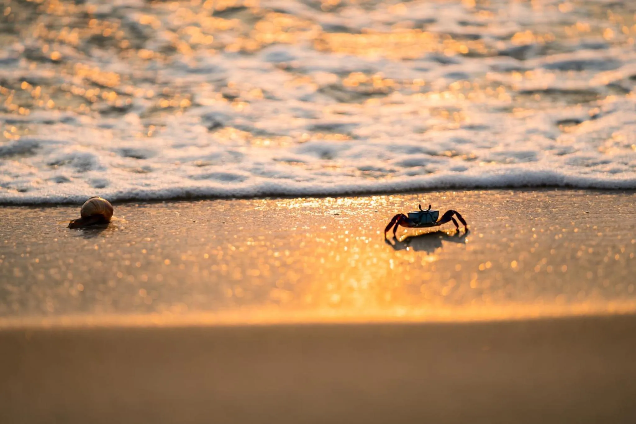 Beach in The Five Villas & Resort Quangnam - Danang