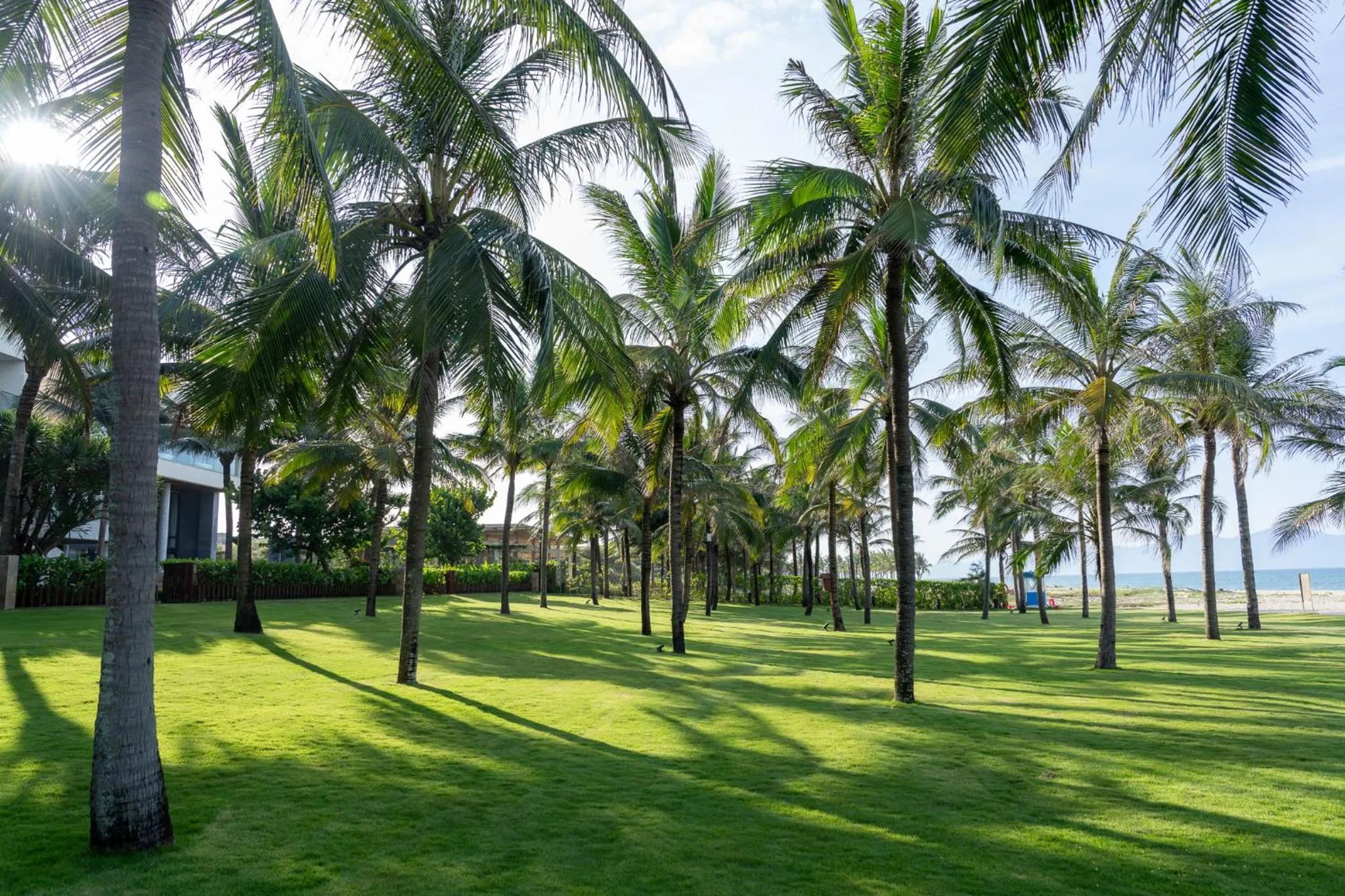 Garden in The Five Villas & Resort Quangnam - Danang