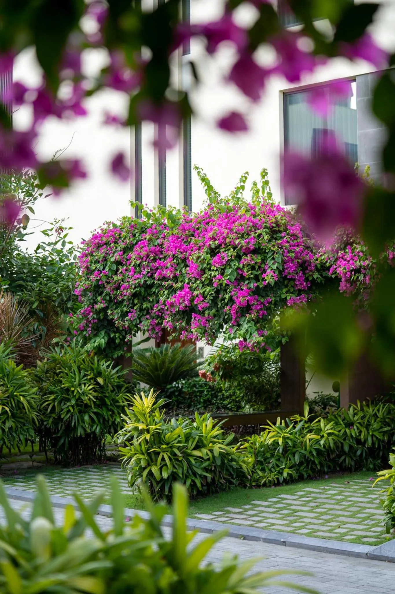 Garden view in The Five Villas & Resort Quangnam - Danang