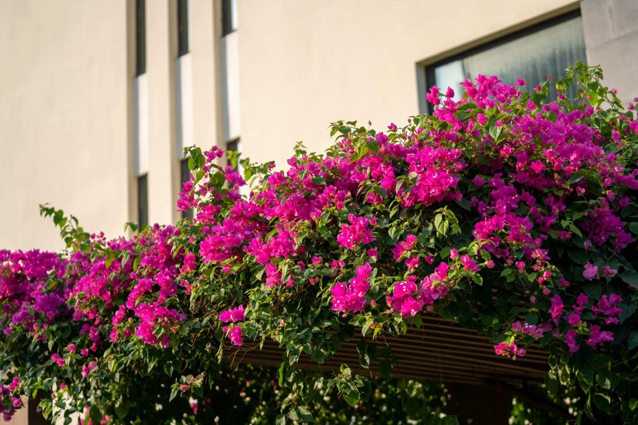 Garden view in The Five Villas & Resort Quangnam - Danang