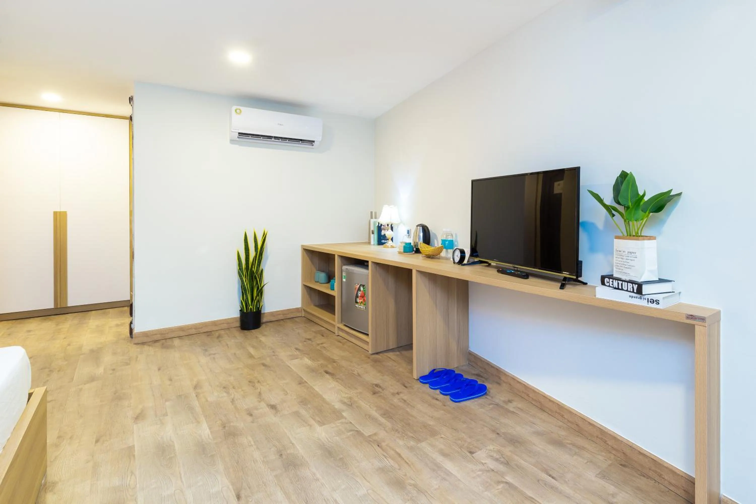 TV and multimedia in Cozrum Lux Hotel