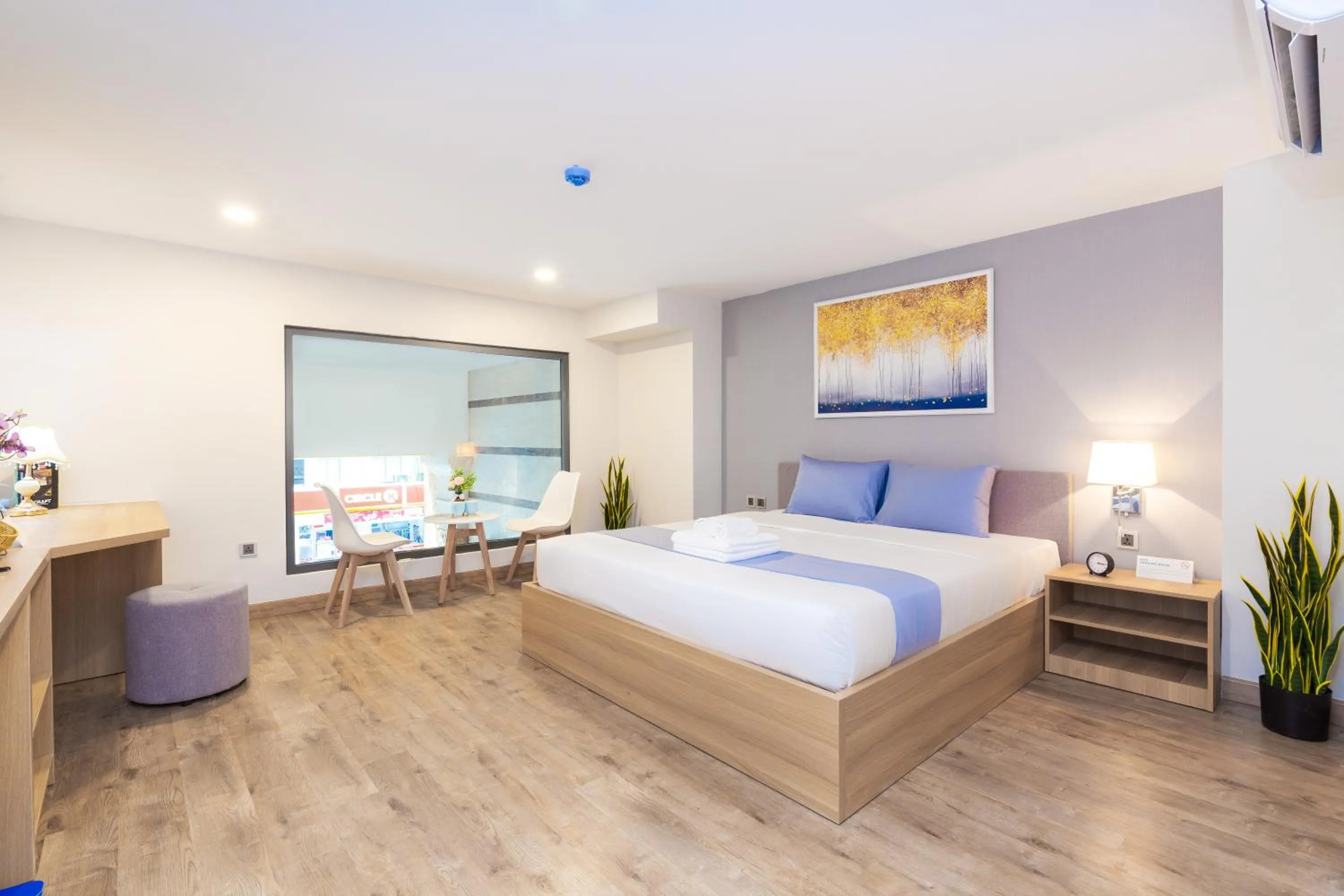 Photo of the whole room, Bed in Cozrum Lux Hotel