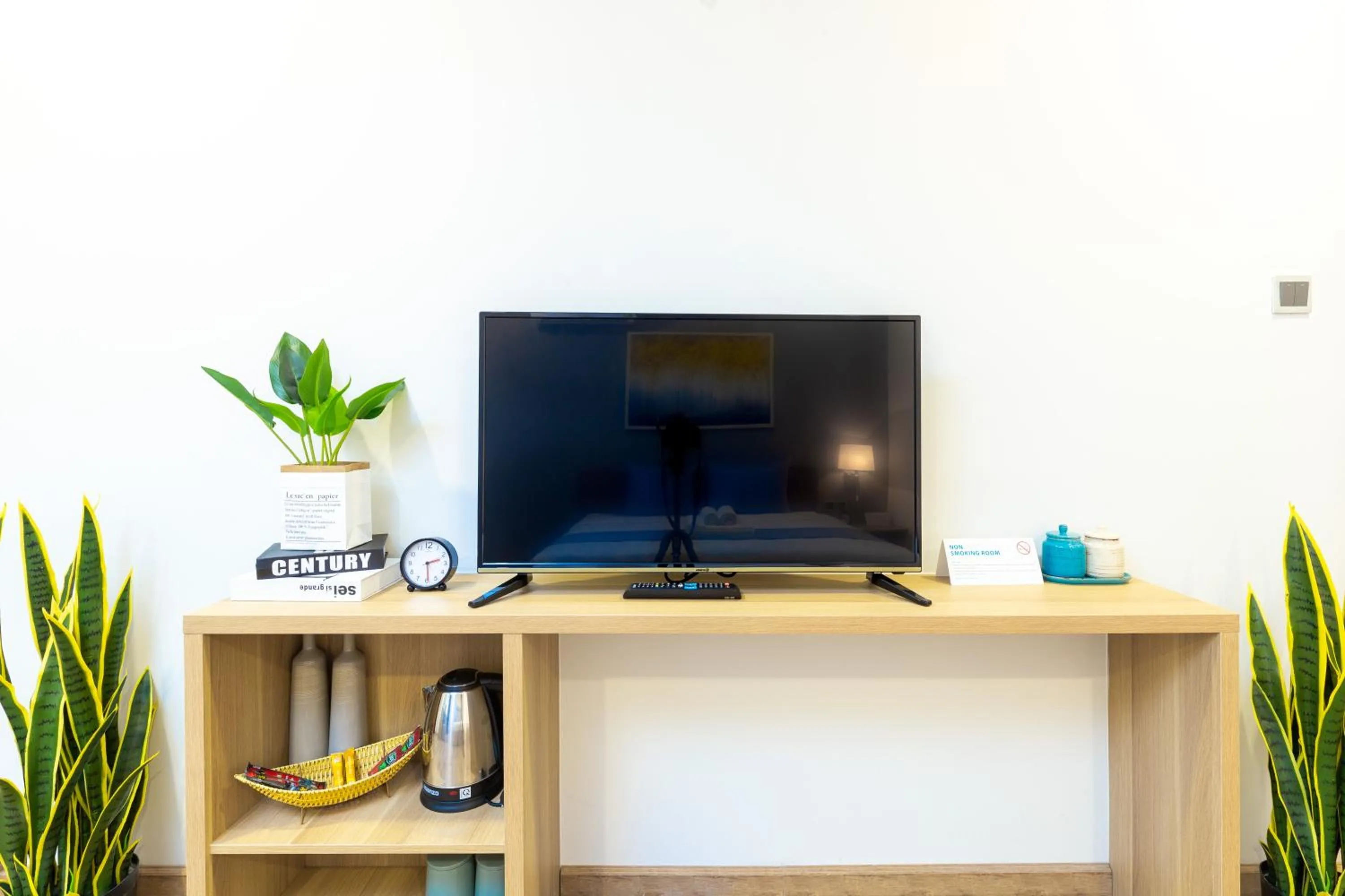 TV and multimedia in Cozrum Lux Hotel