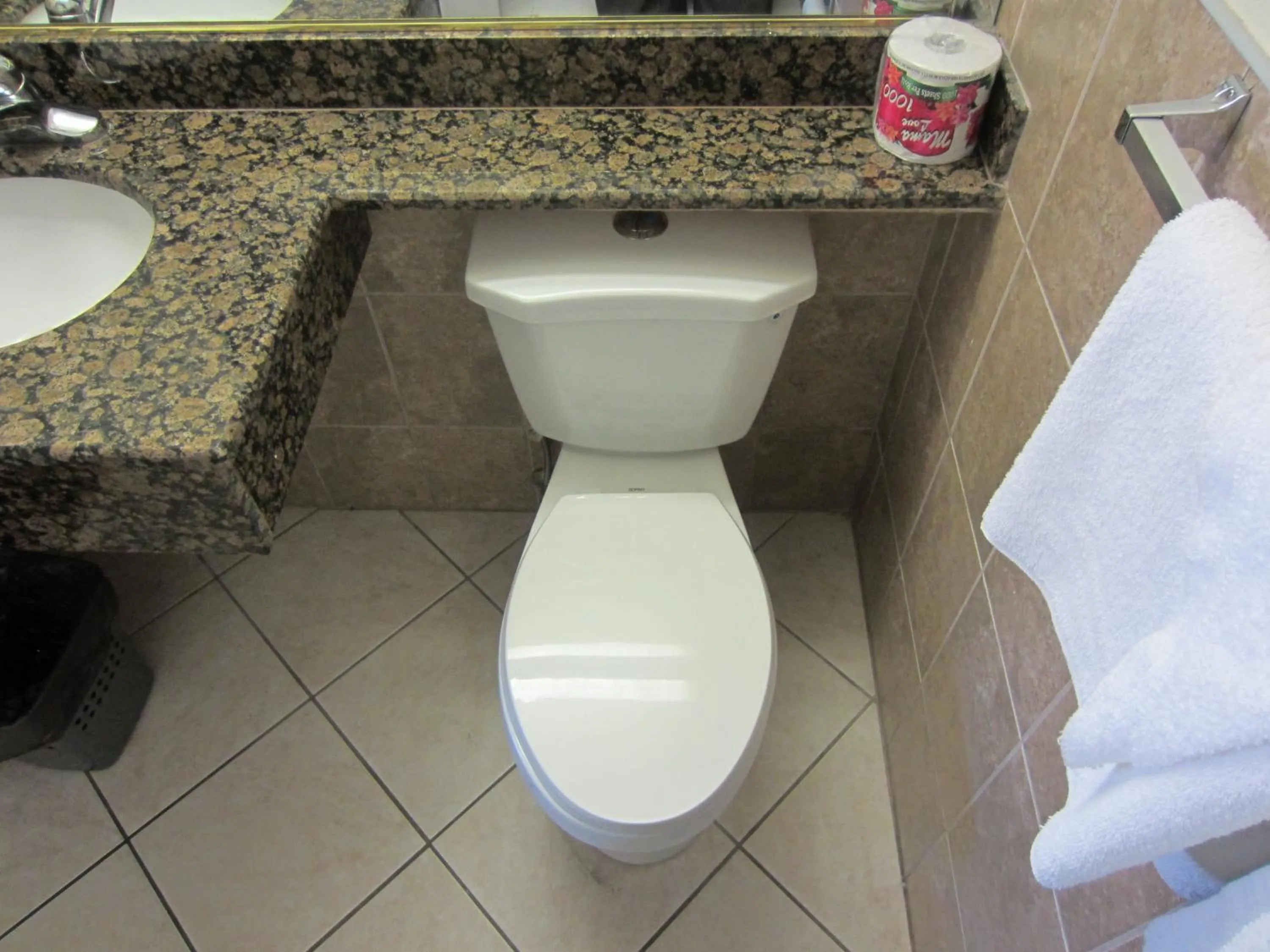 Toilet in Starlight Inn Canoga Park