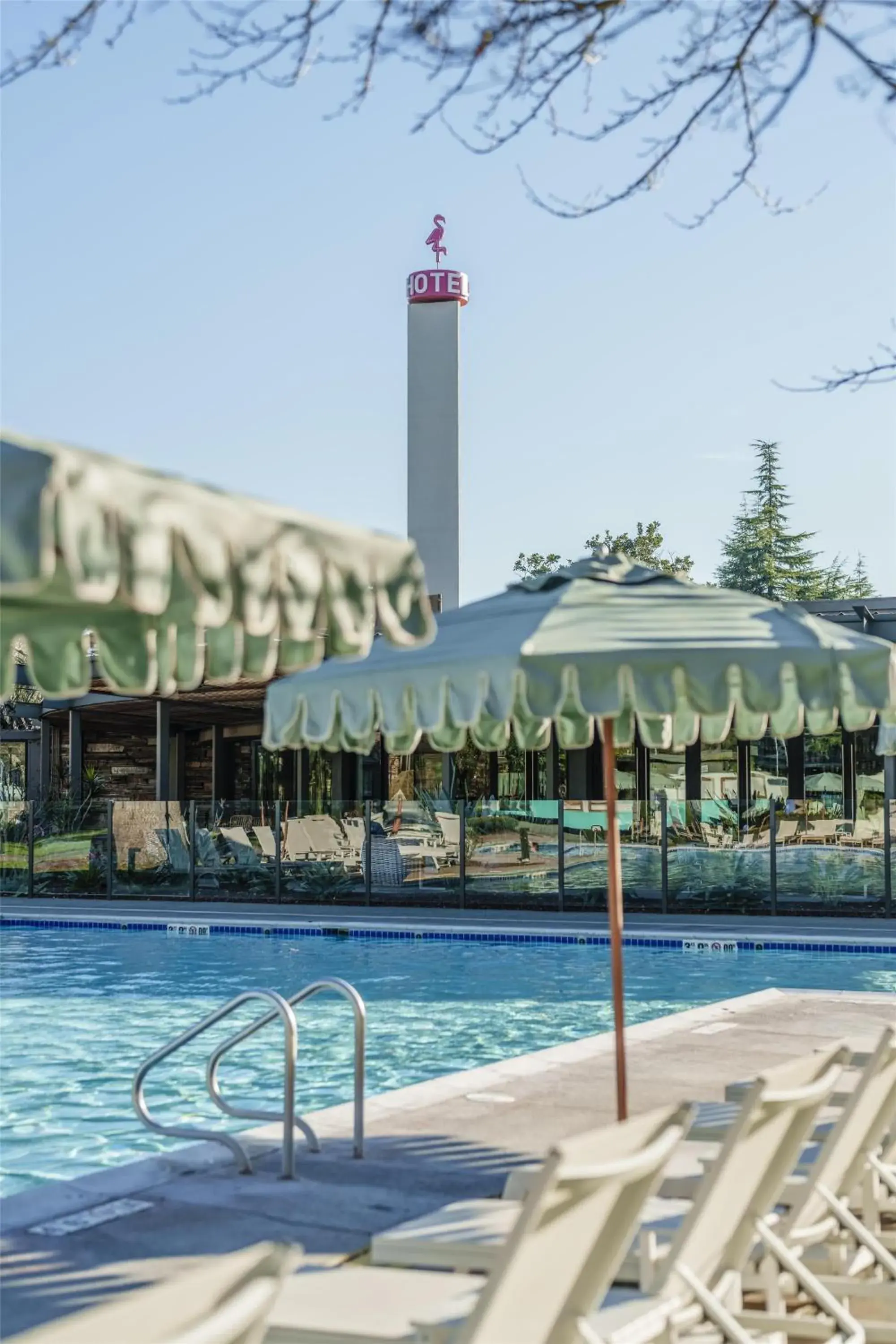 Pool view in Flamingo Resort & Spa Santa Rosa Sonoma, Tapestry by Hilton Pool view in Flamingo Resort & Spa Santa Rosa Sonoma, Tapestry by Hilton