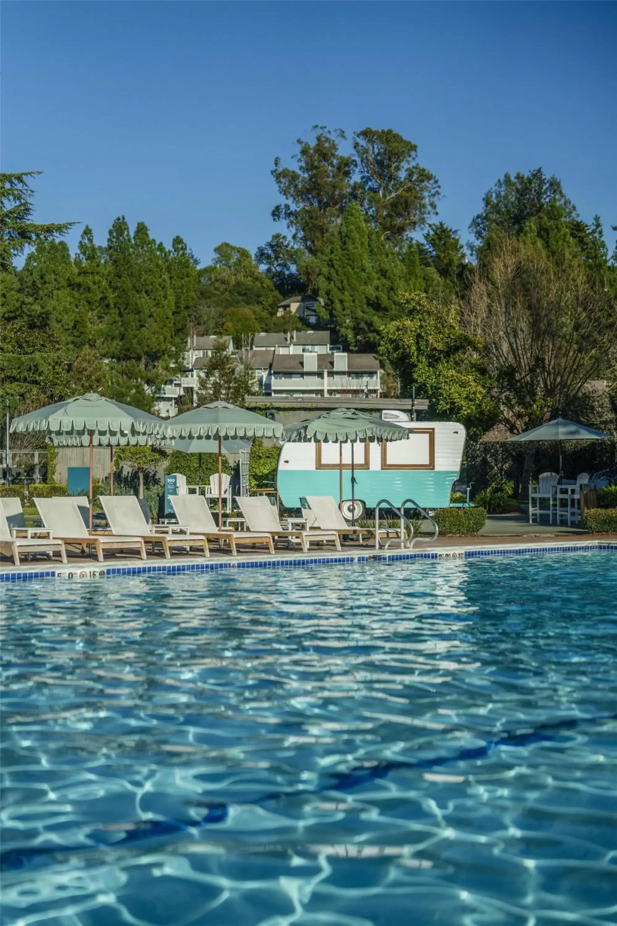 Pool view in Flamingo Resort & Spa Santa Rosa Sonoma, Tapestry by Hilton Pool view in Flamingo Resort & Spa Santa Rosa Sonoma, Tapestry by Hilton