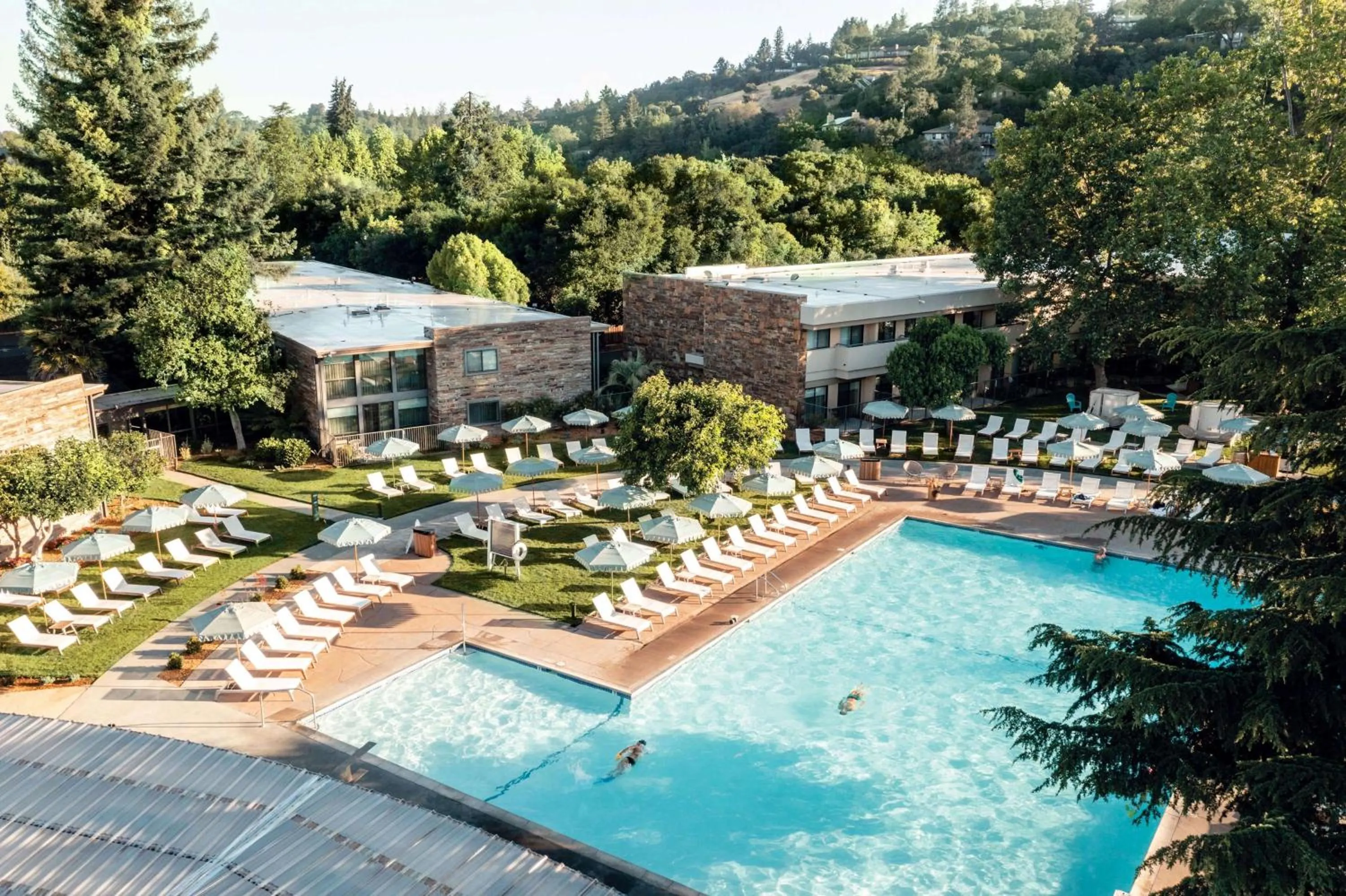 Pool view in Flamingo Resort & Spa Santa Rosa Sonoma, Tapestry by Hilton