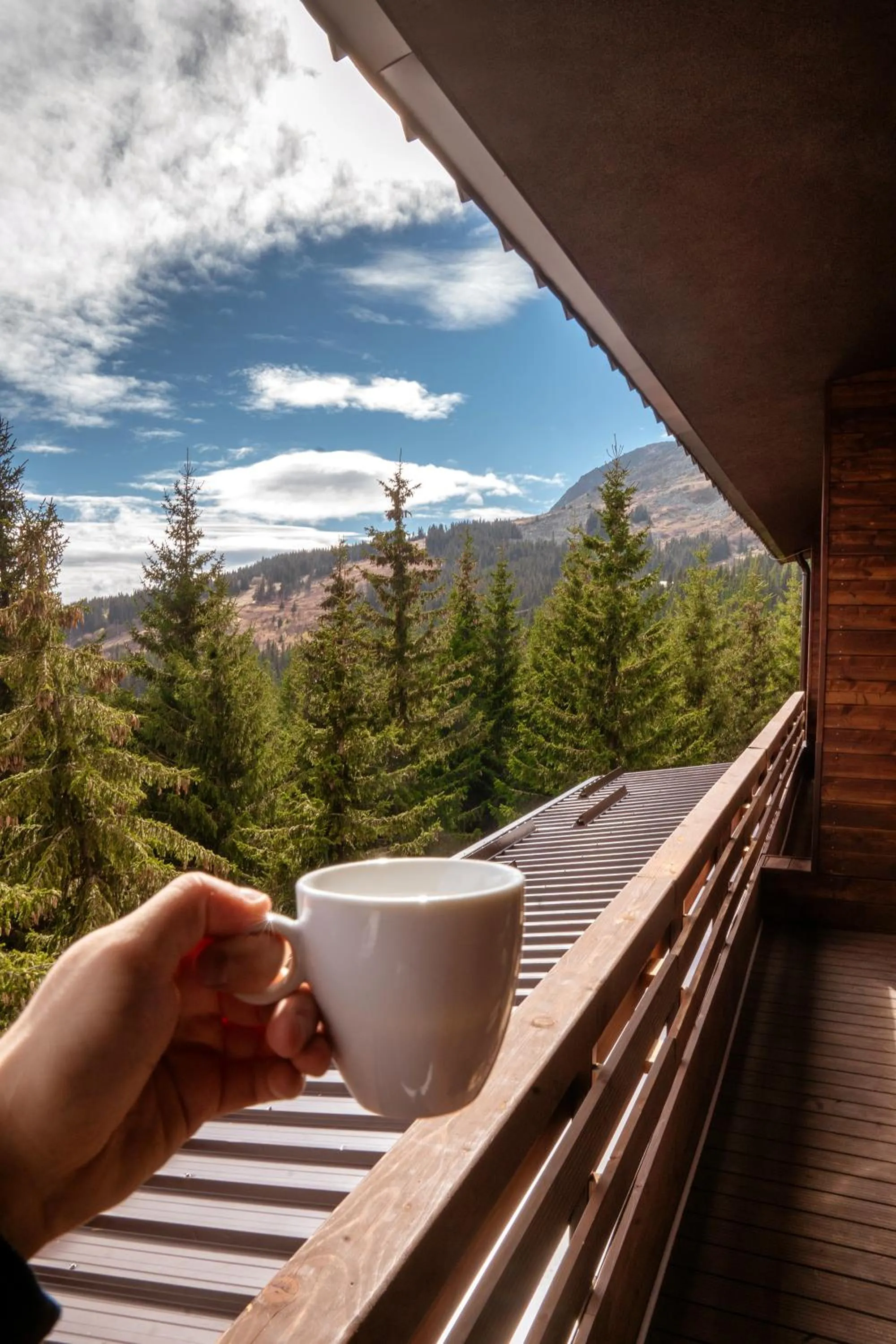 Day in Hotel and Relax Moreni