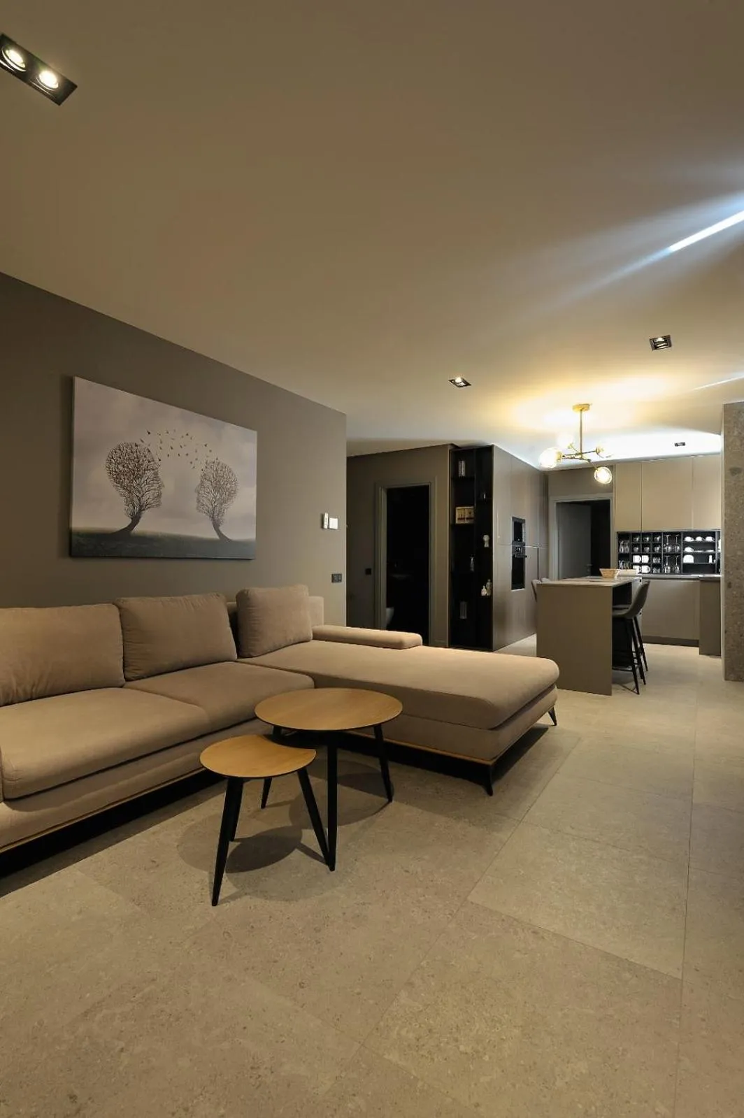 Living room in Sofia Apartments