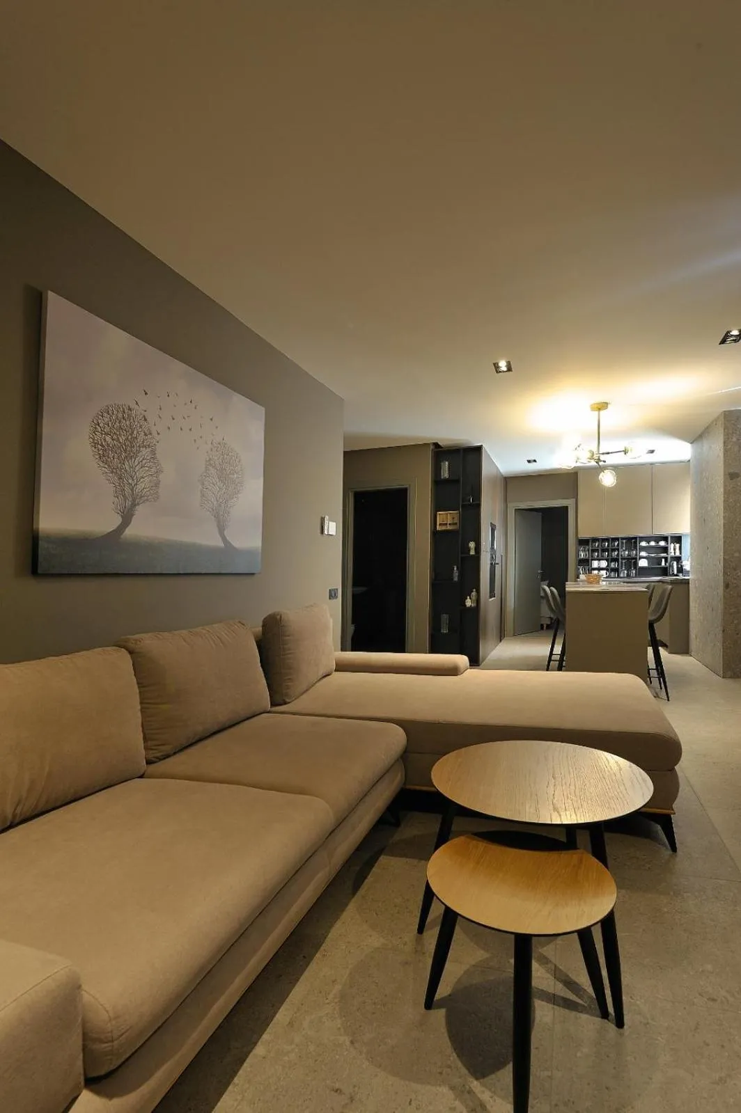 Living room in Sofia Apartments