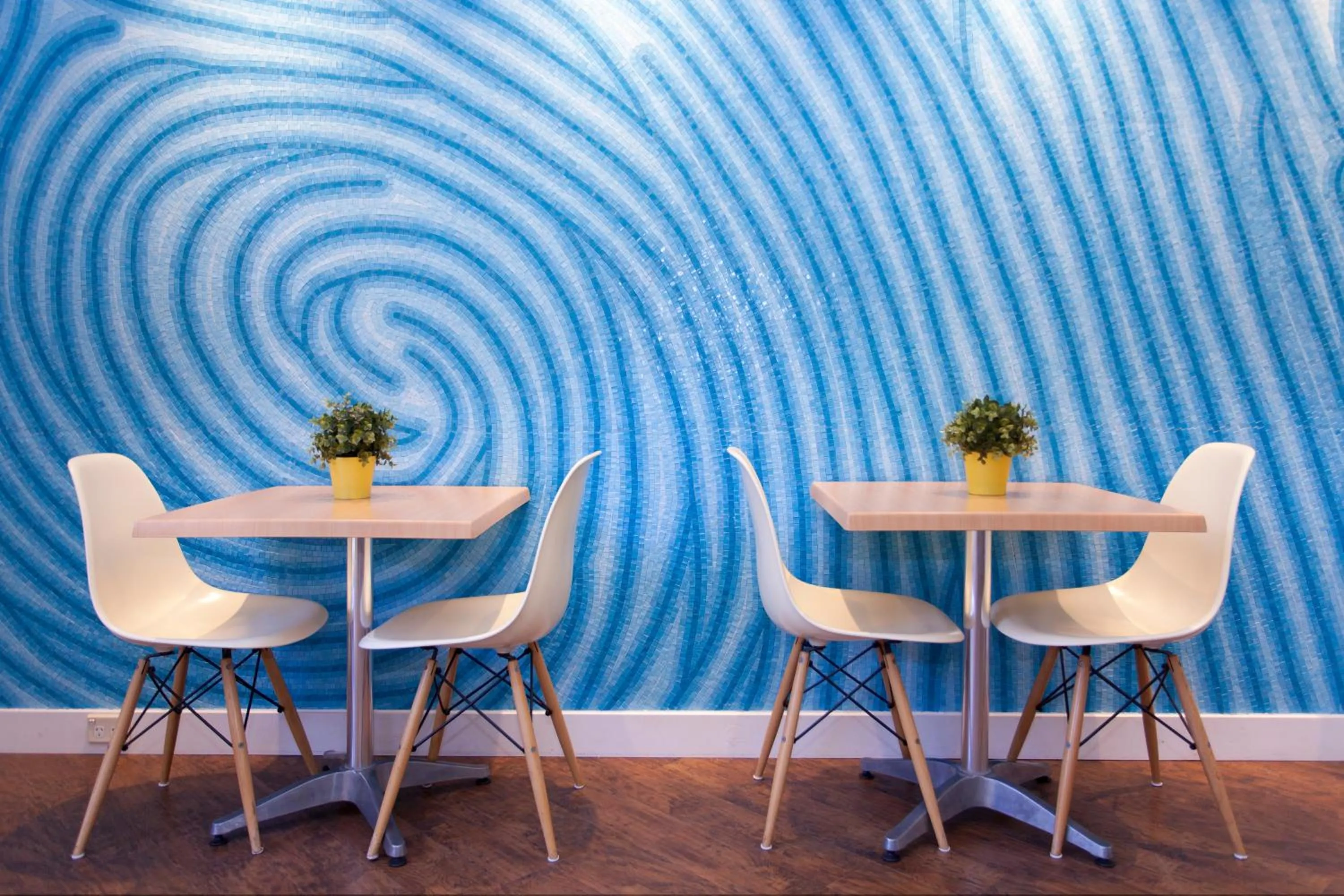 Restaurant/places to eat in Cremorne Point Manor