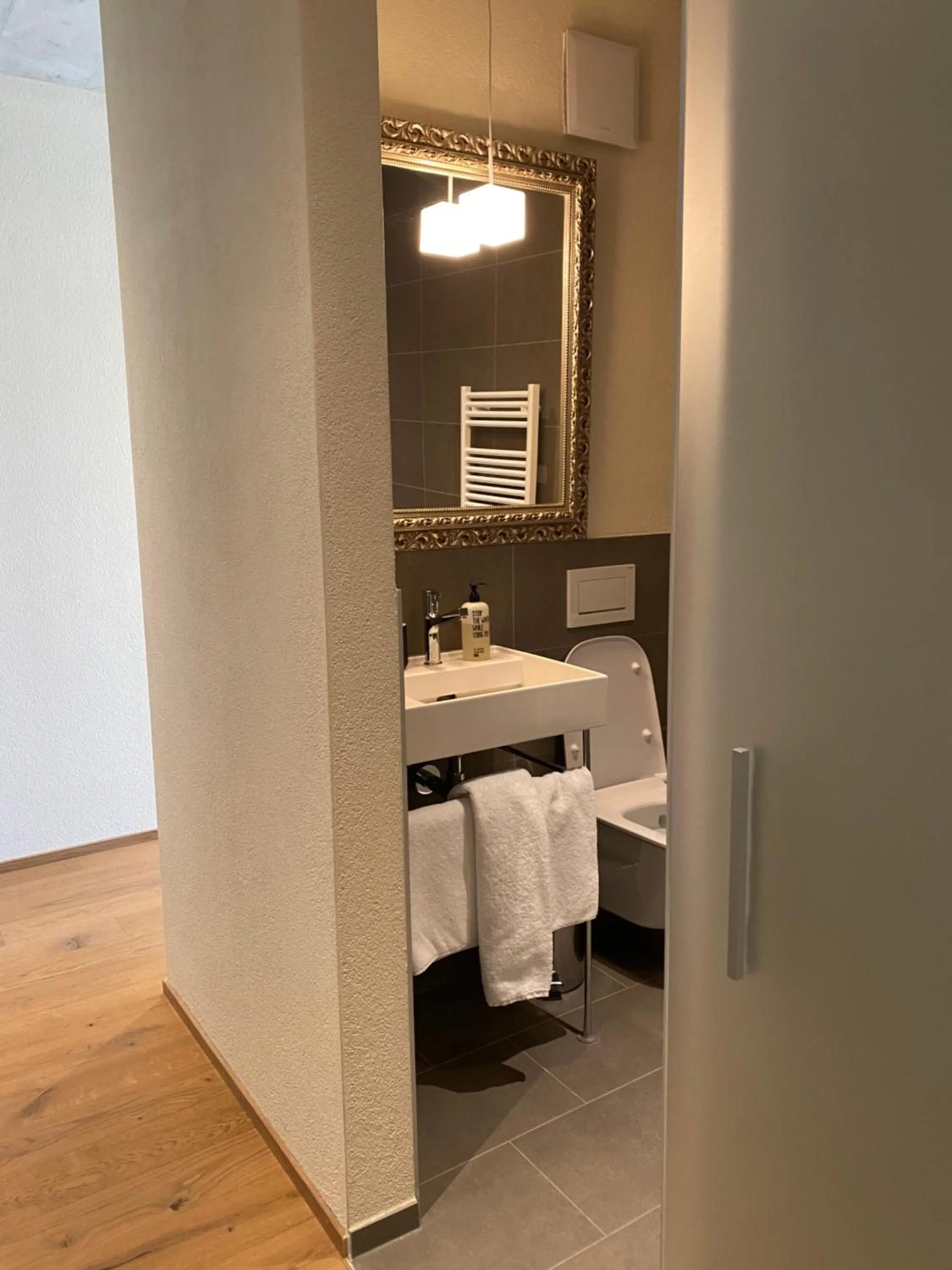 Toilet in Hotel de l’Ours Preles