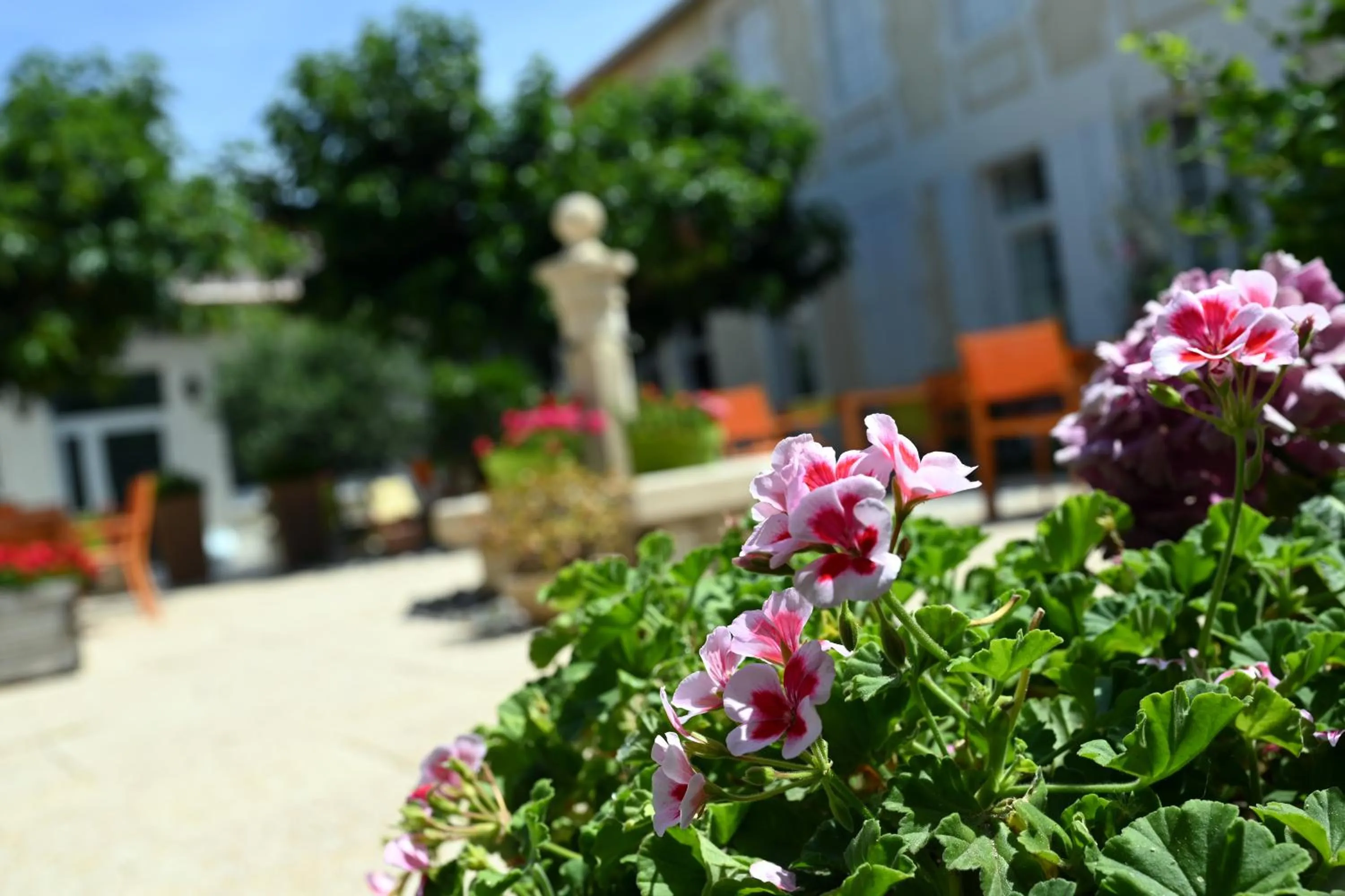 Patio in Grand Hôtel des Bains SPA
