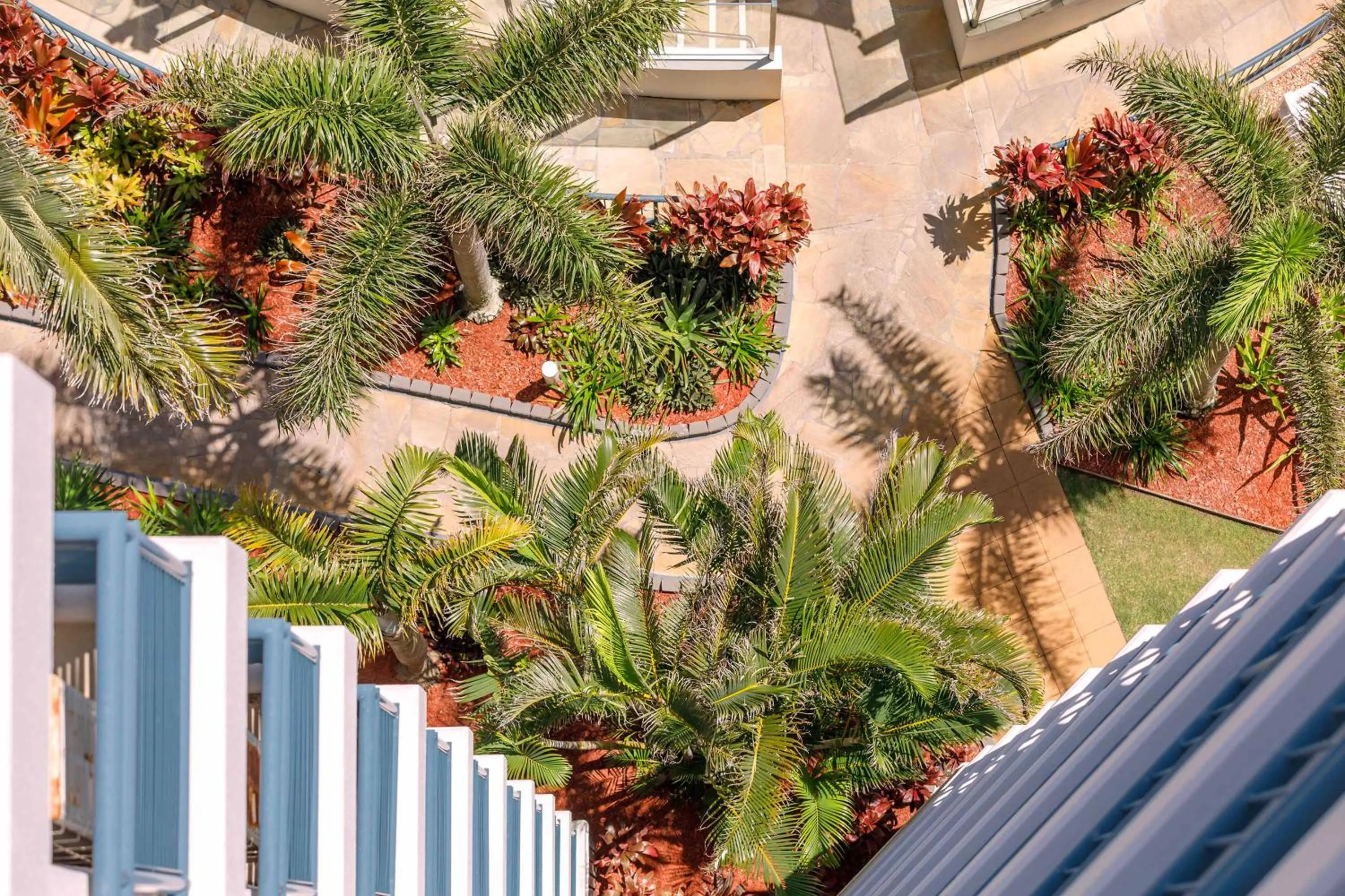 Garden in Club Wyndham Kirra Beach