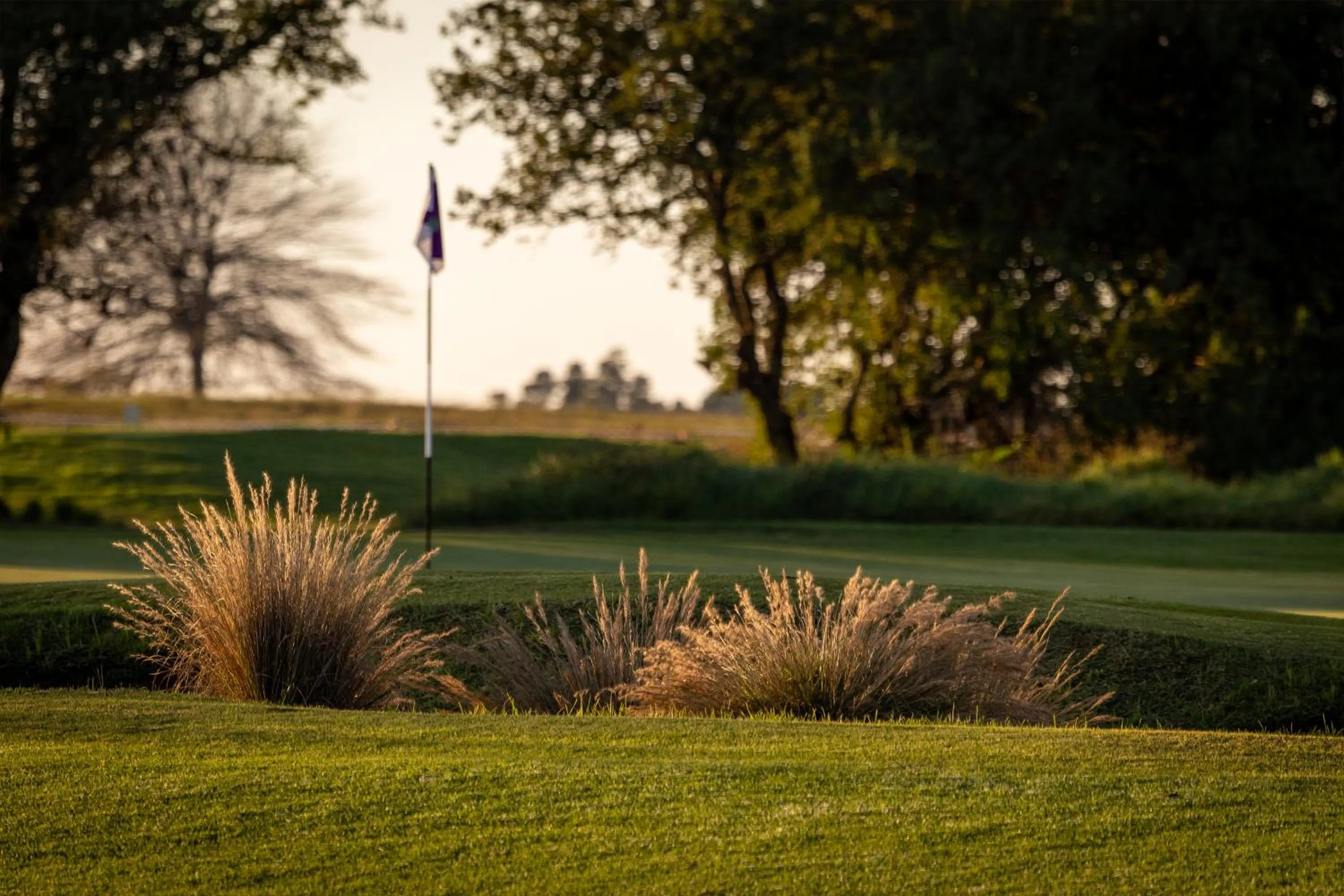 Golfcourse in Gowrie Farm Golf Lodge