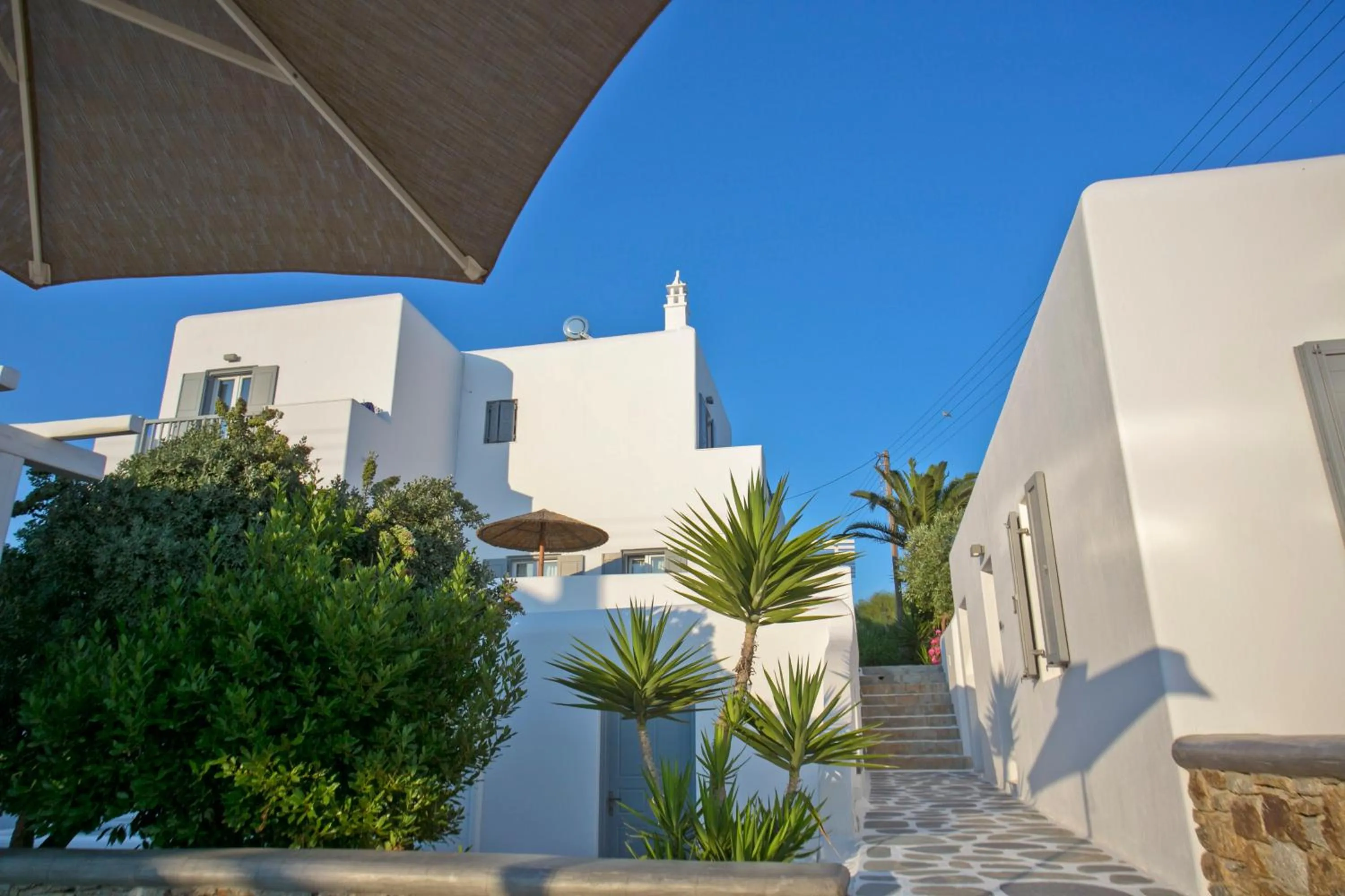 Garden in Anna-Maria Mykonos Hotel