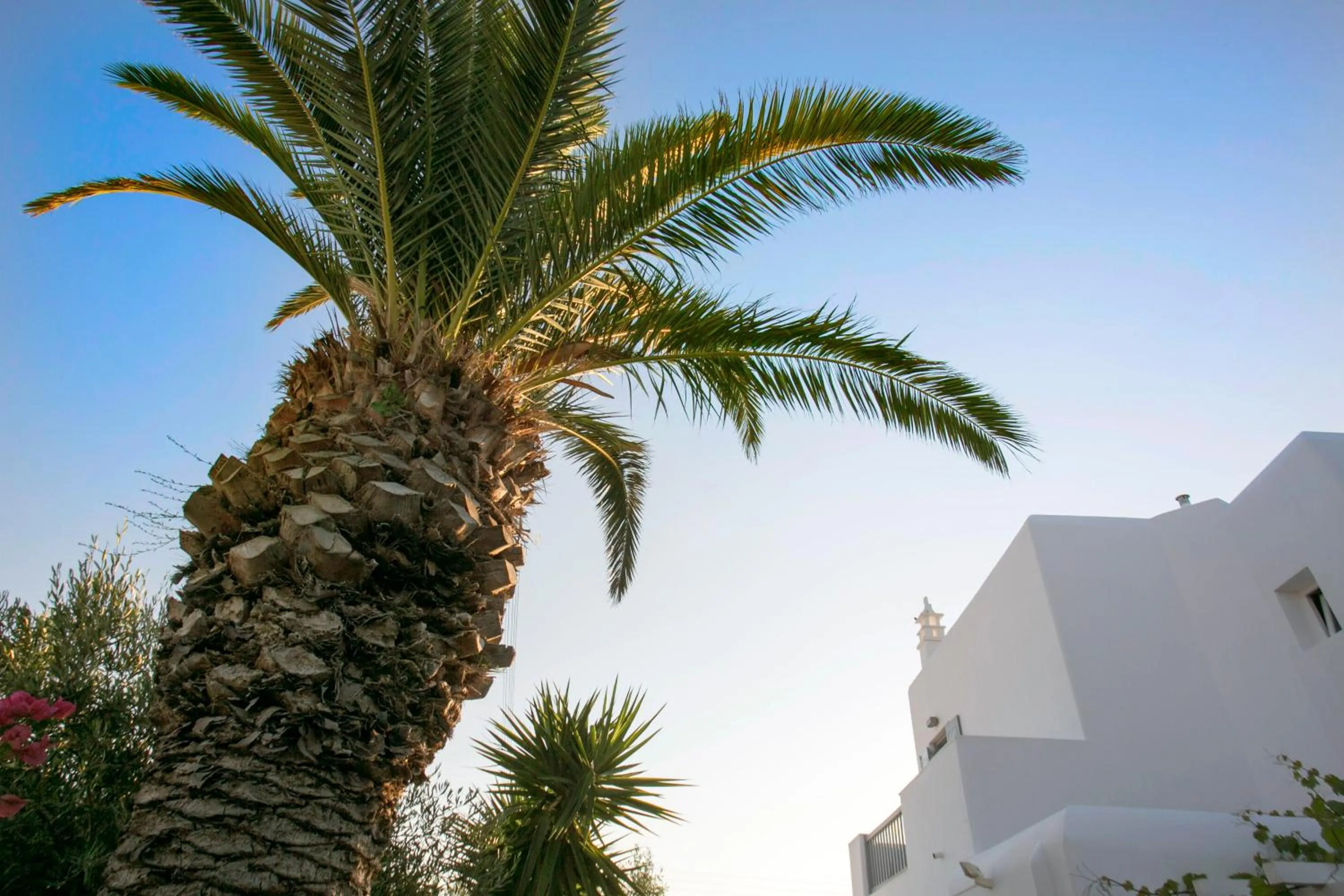 On site in Anna-Maria Mykonos Hotel