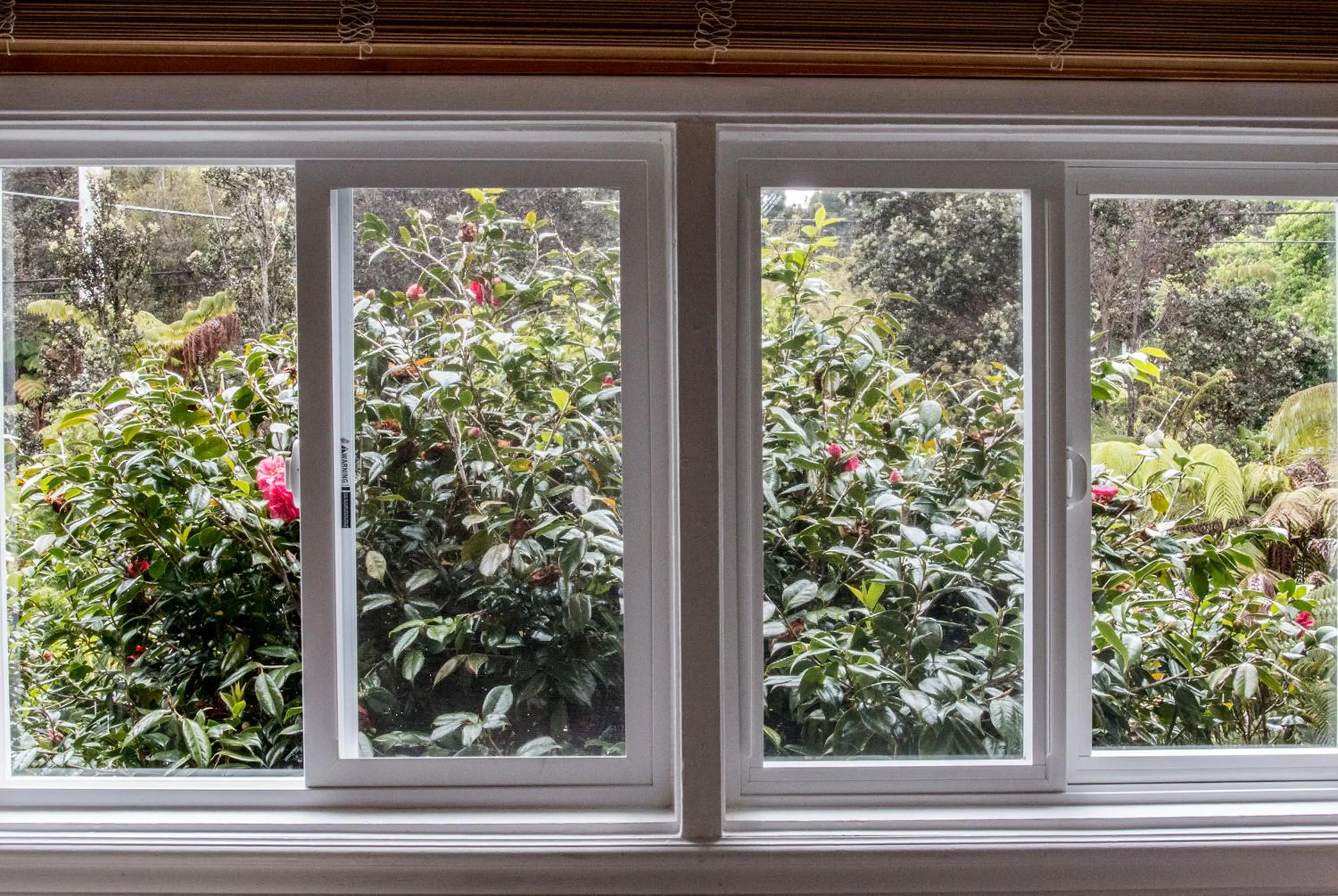 Garden view in Chalet Kilauea