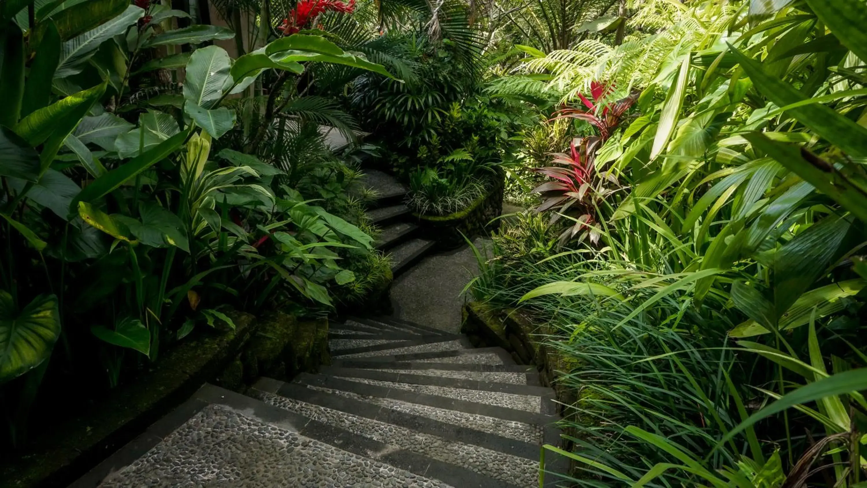 Property building in Sakti Garden Resort & Spa Property building in Sakti Garden Resort & Spa