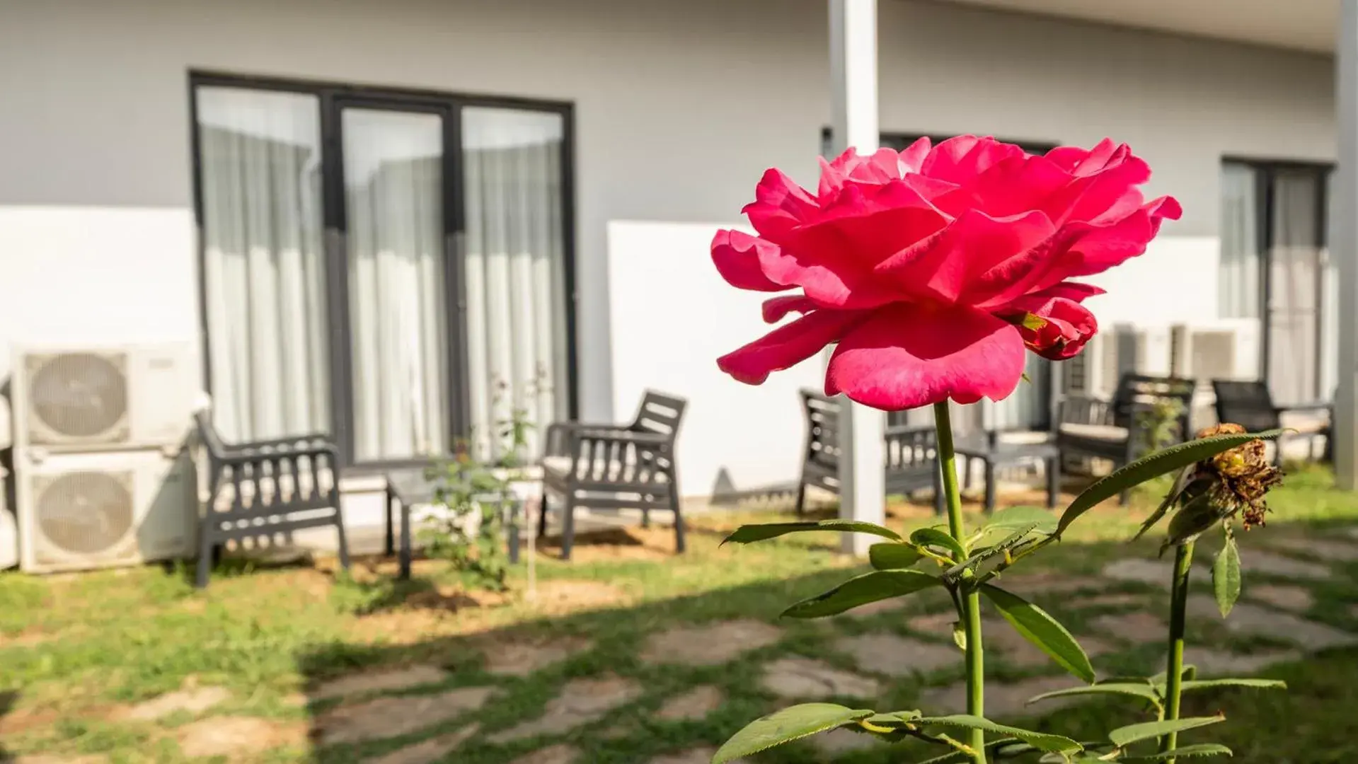 View (from property/room) in Yalıköy Deniz Otel Istanbul View (from property/room) in Yalıköy Deniz Otel Istanbul