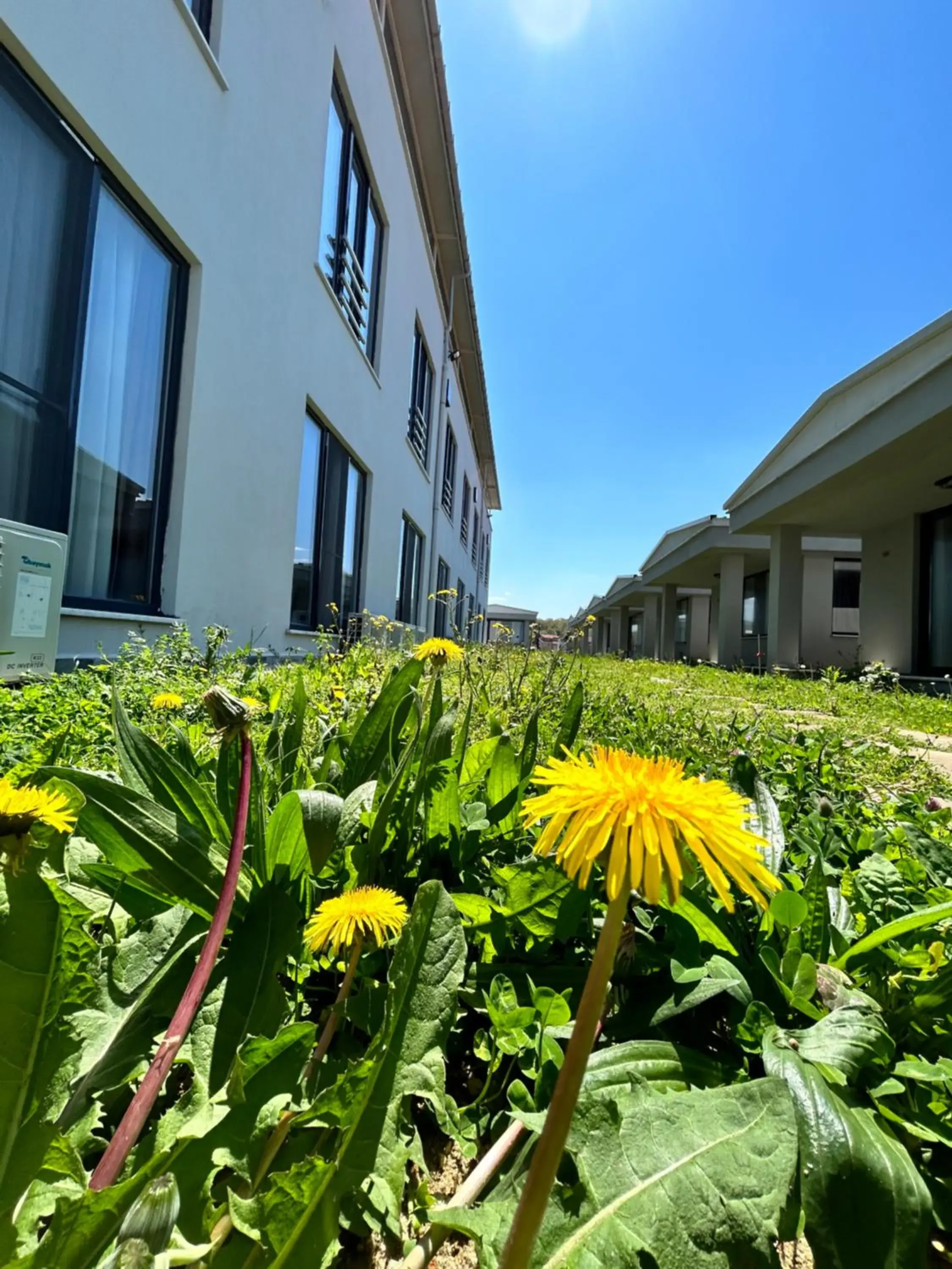 Property building in Yalıköy Deniz Otel Istanbul Property building in Yalıköy Deniz Otel Istanbul