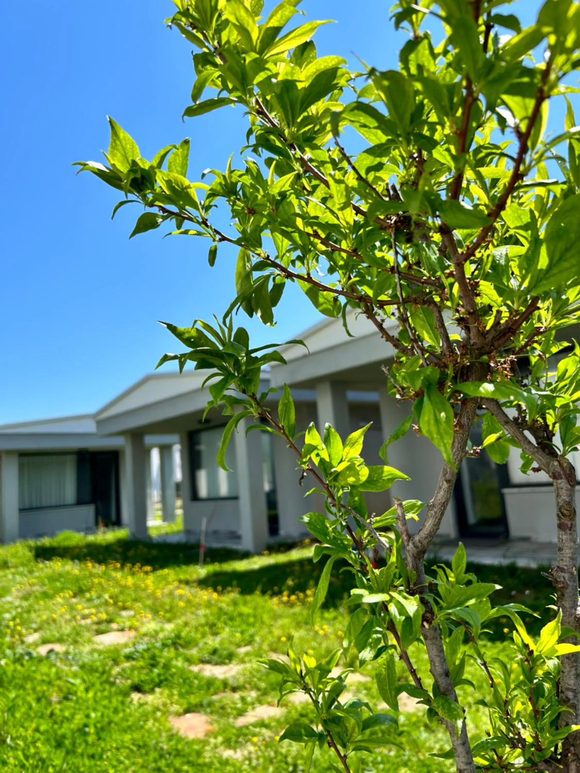 Garden in Yalıköy Deniz Otel Istanbul