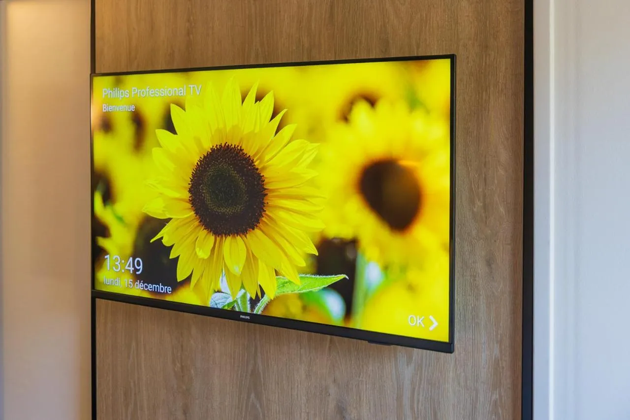 TV and multimedia in ibis Grenoble Gare